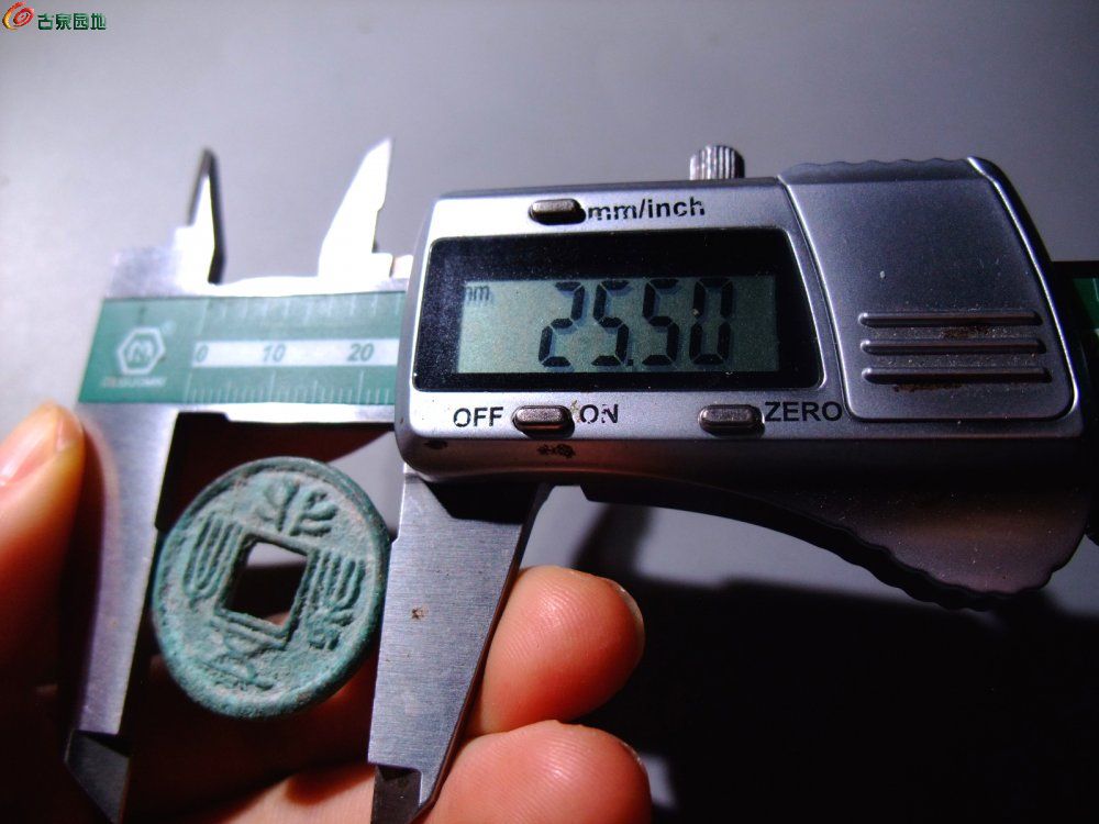 DSCF6604.JPG
