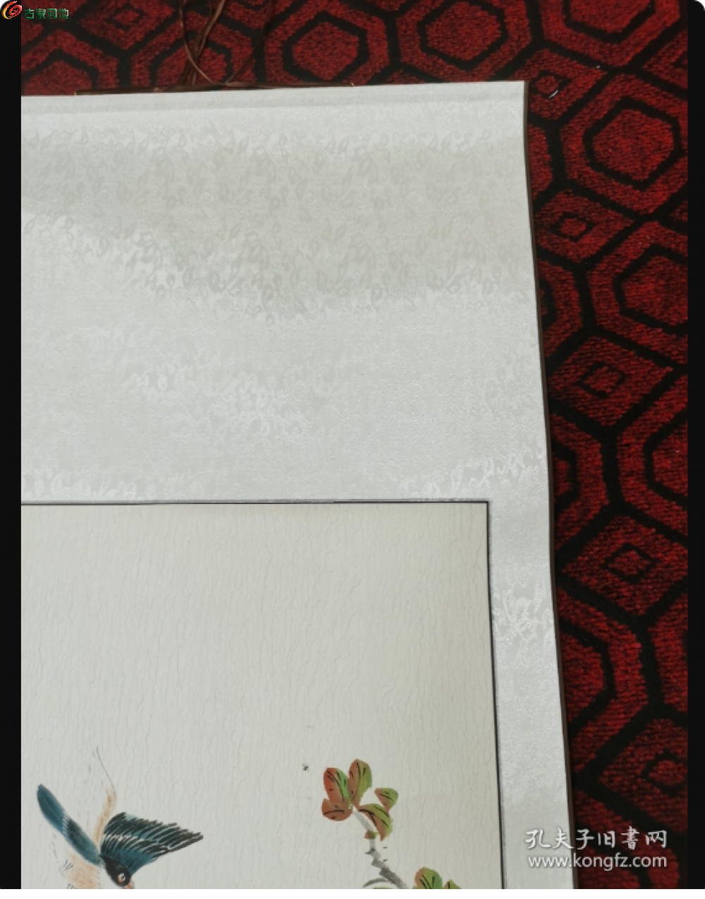 局部截取_20250226_225717.png