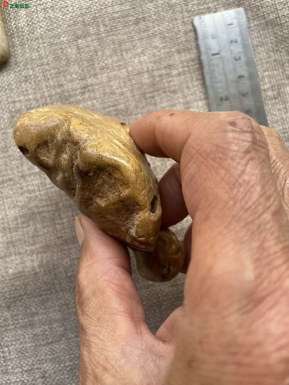 微信图片_20260518141806_2928_3.jpg