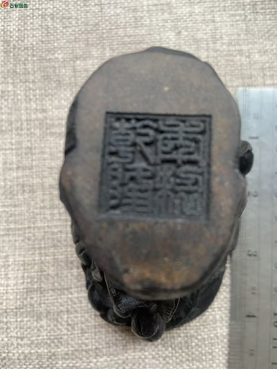 微信图片_20260522065837_3223_3.jpg