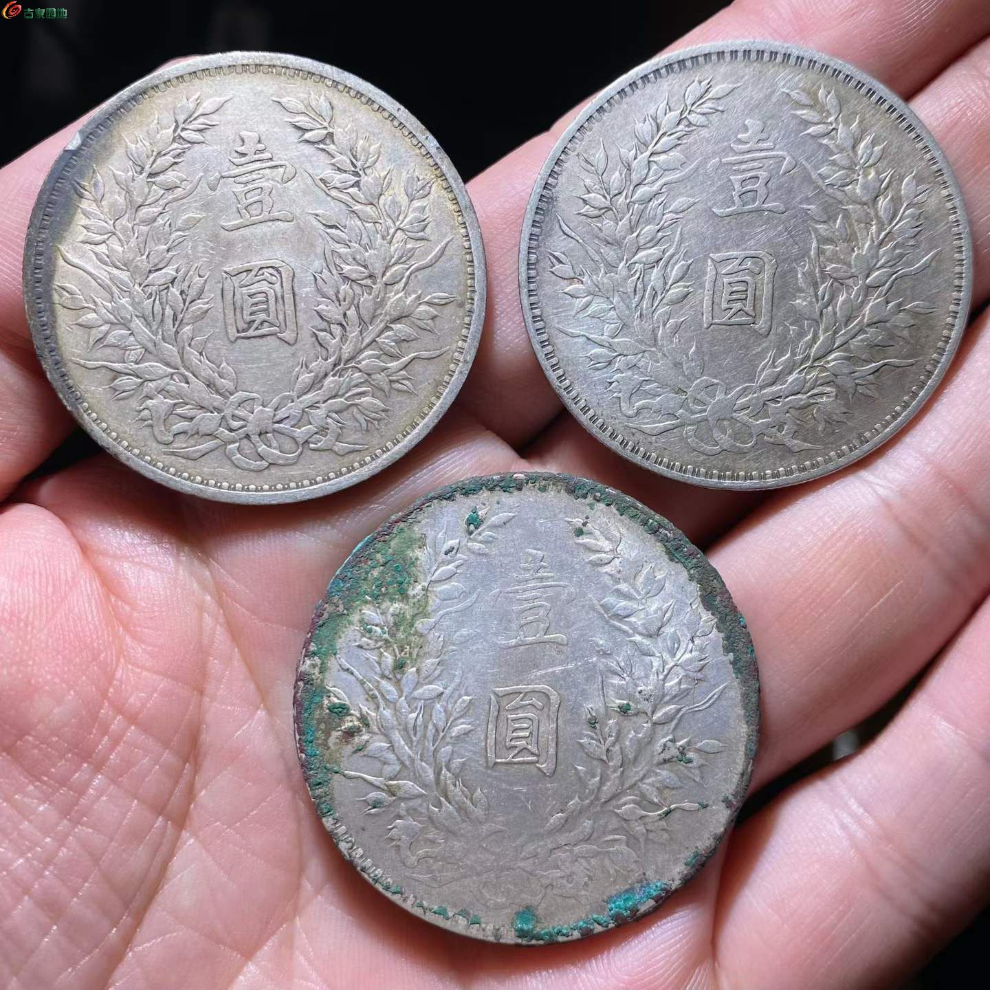 兩芈^ 2026-04-04 11.00.28.jpeg