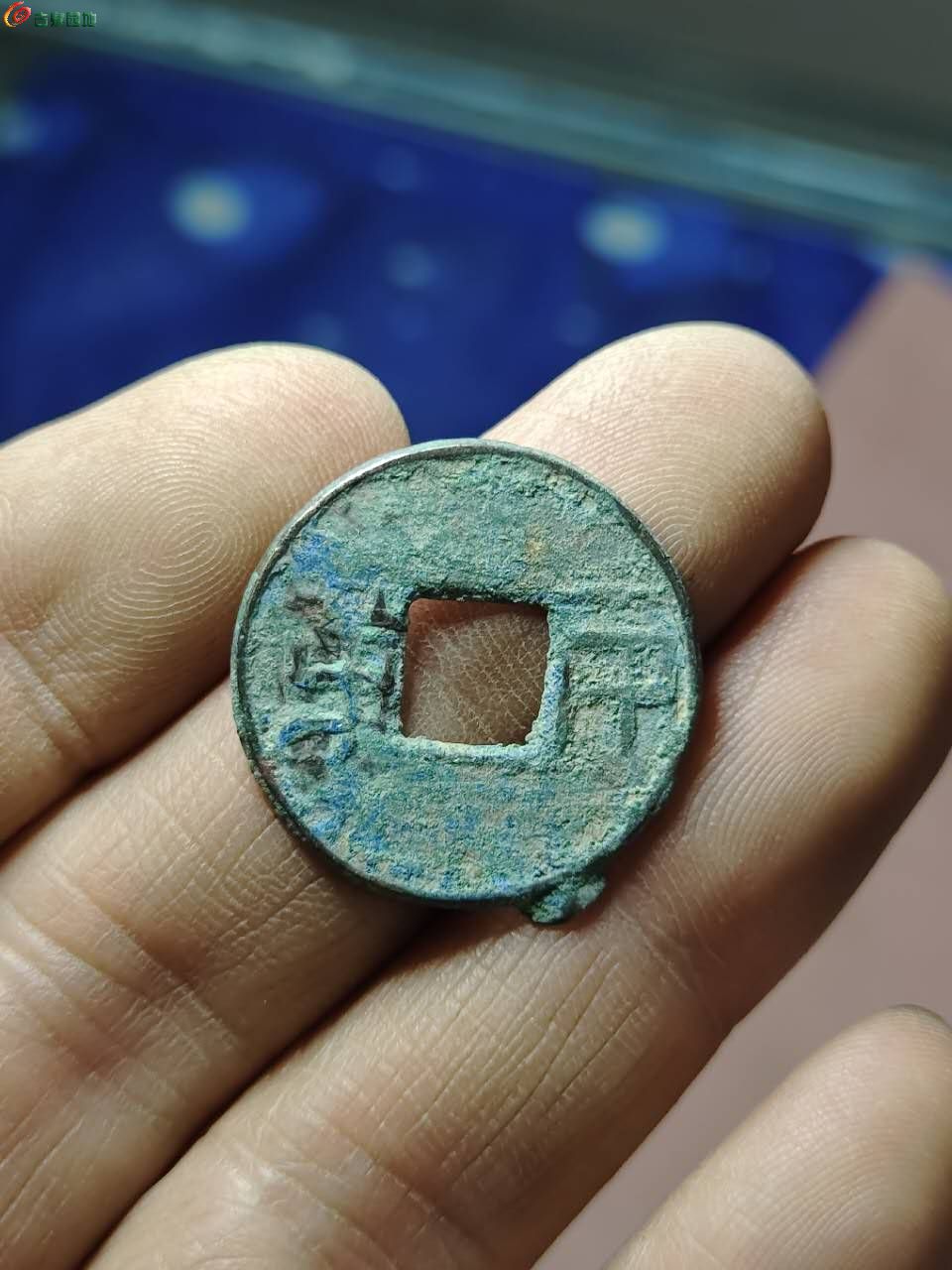 35950.jpg
