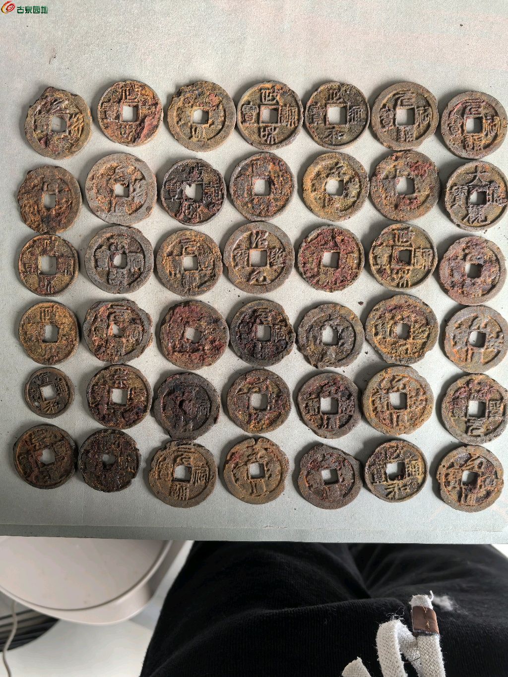 1776578245946.xfile.jpg