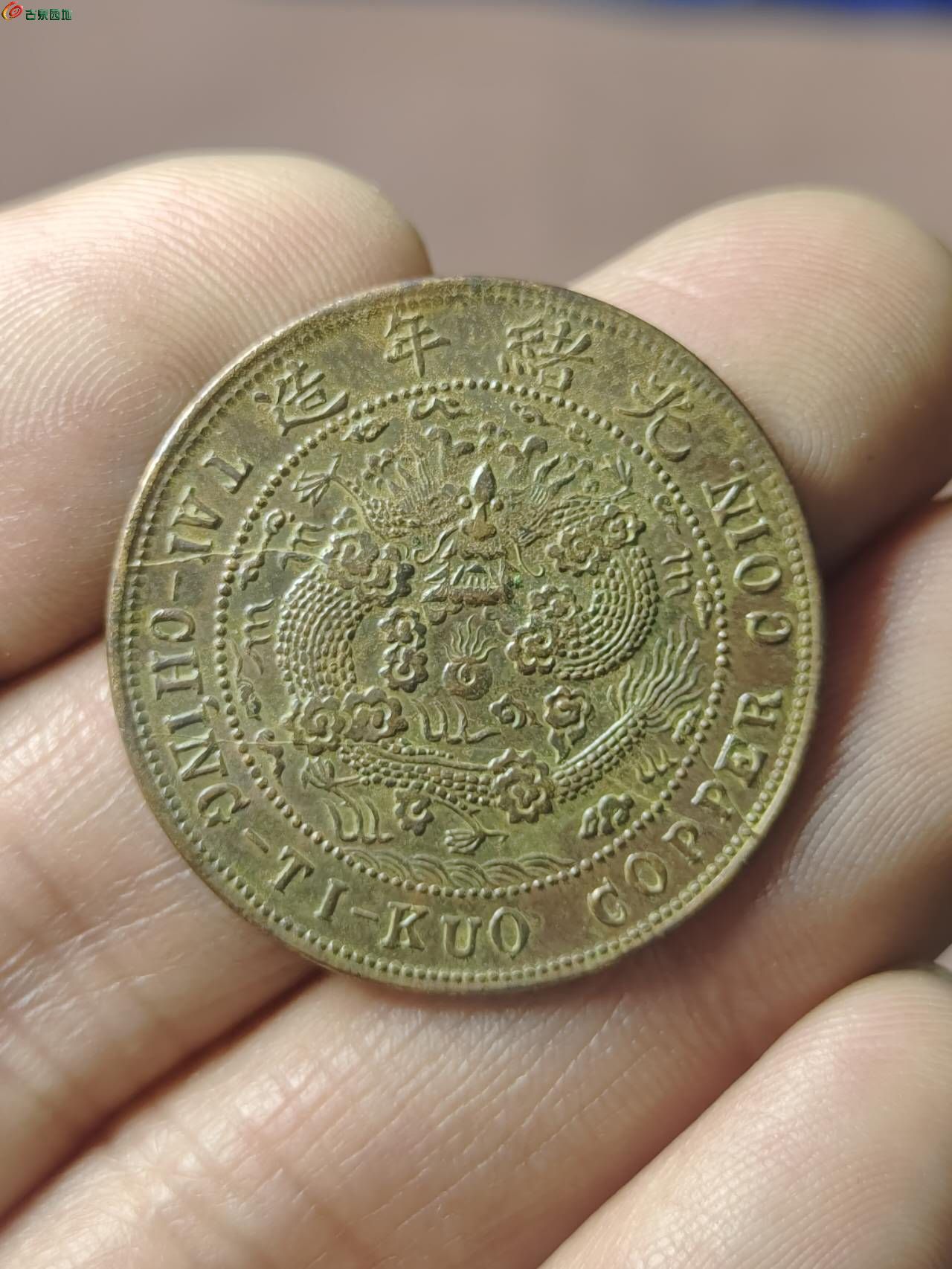 46451.jpg
