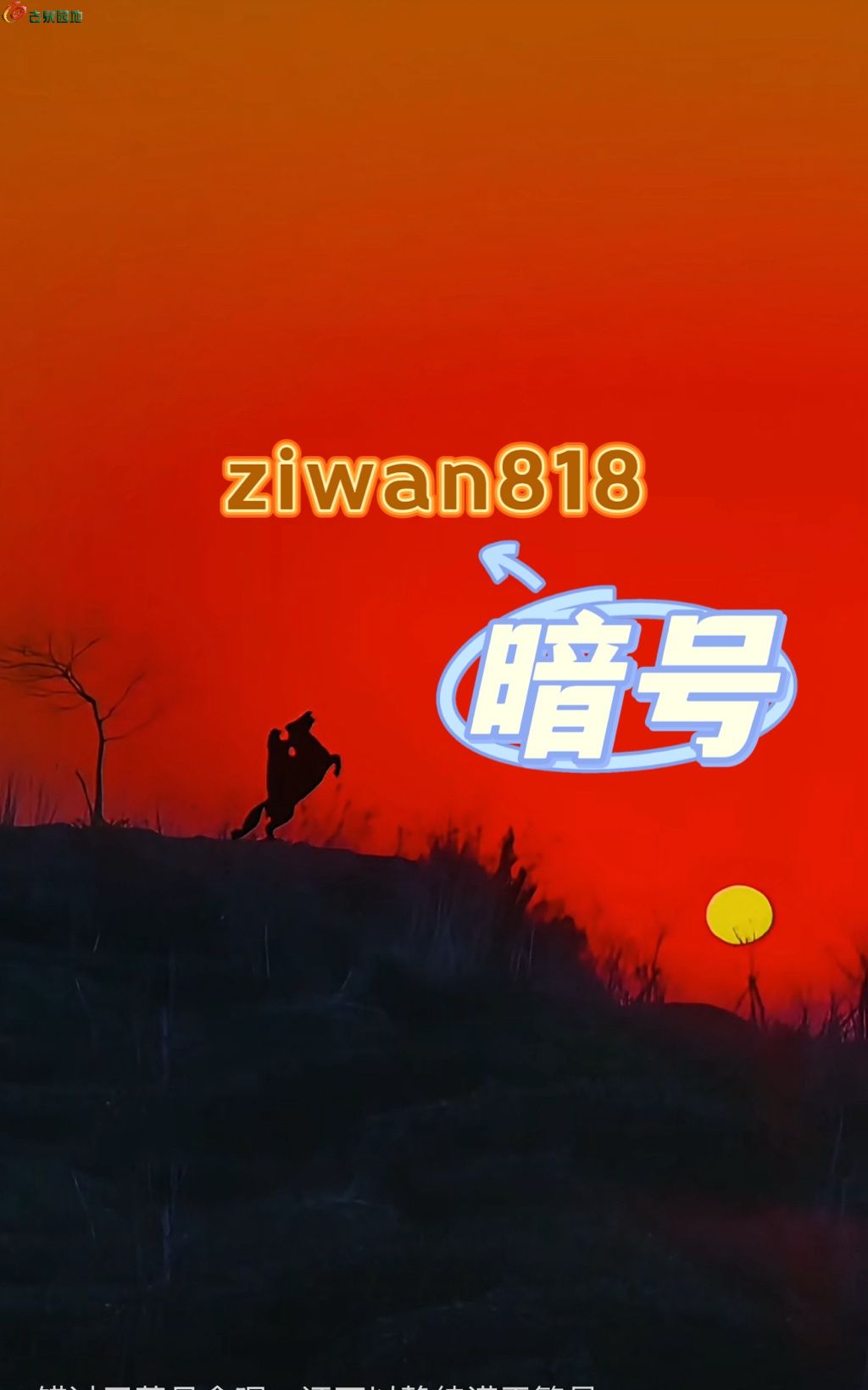 1777019983898.xfile.jpg
