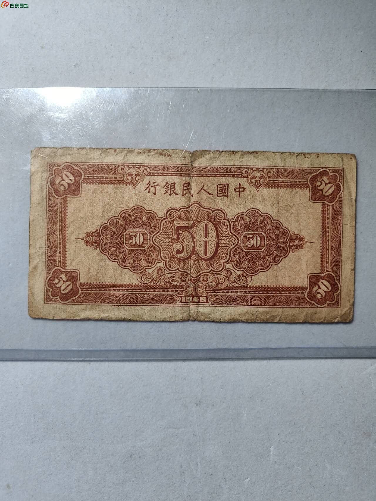 31995.jpg