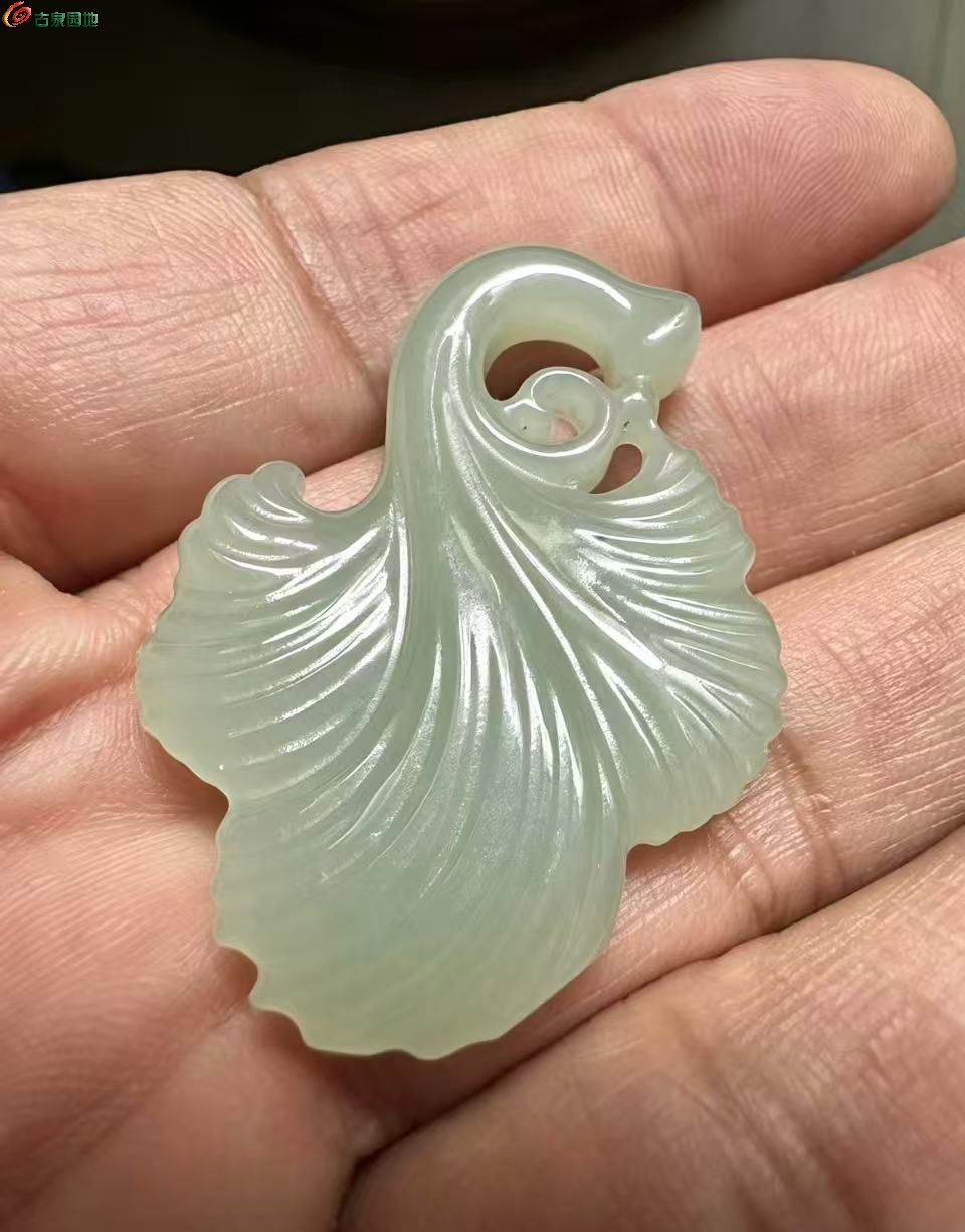 微信图片_20260430171156.jpg