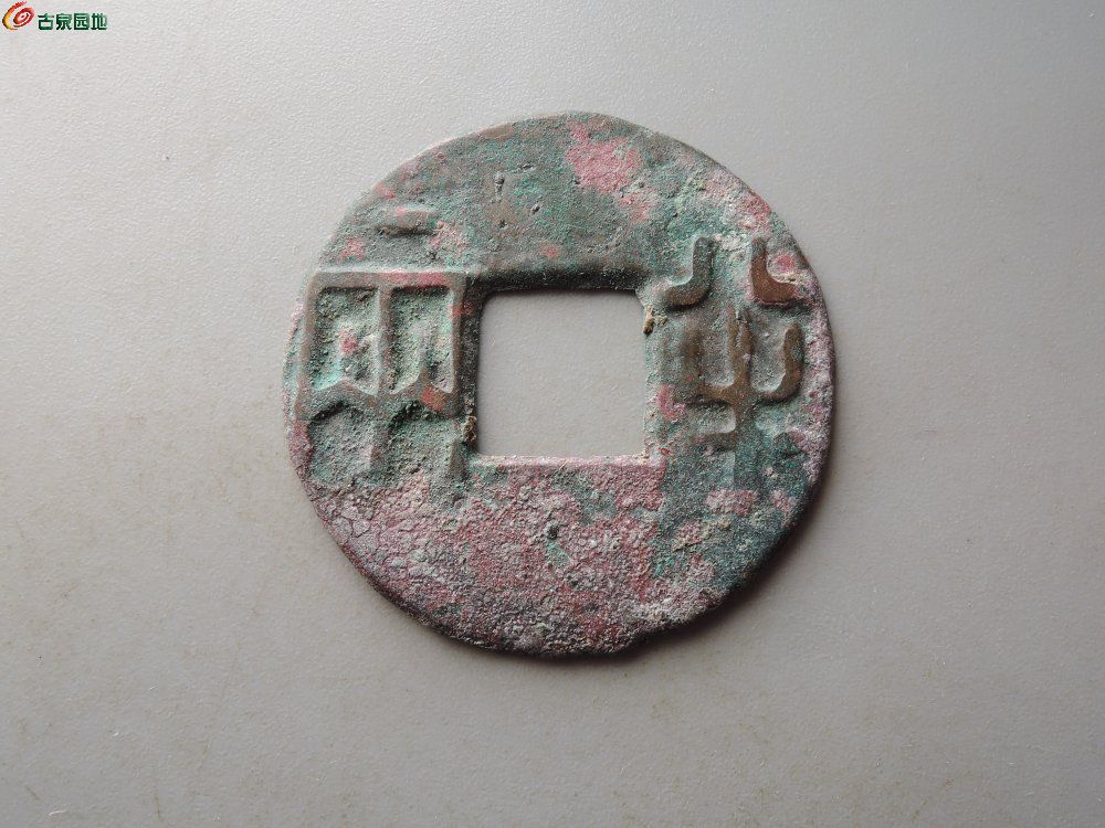 DSCN6214.JPG