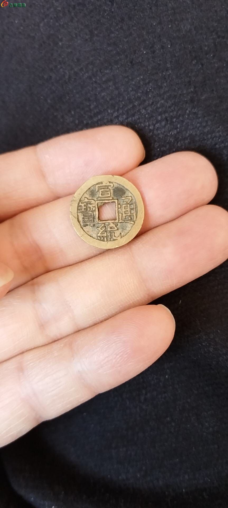 14967.jpg