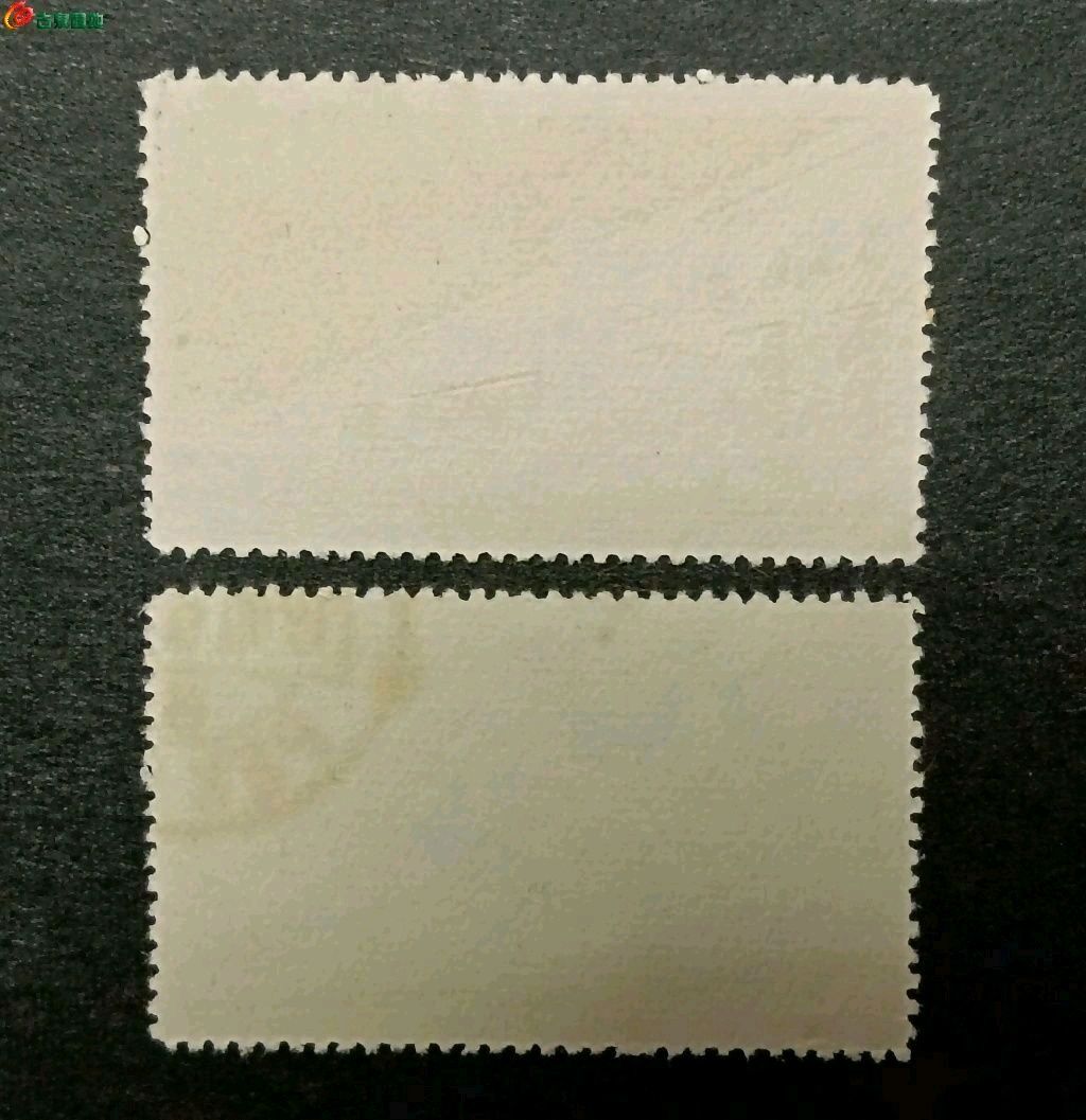 1777995111933.xfile.jpg