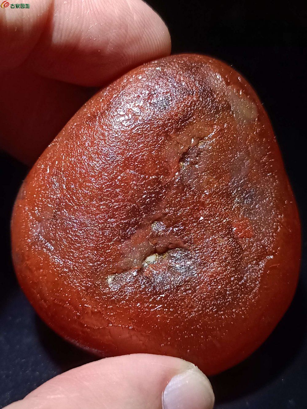 86g牛血红水冲籽料1.jpg