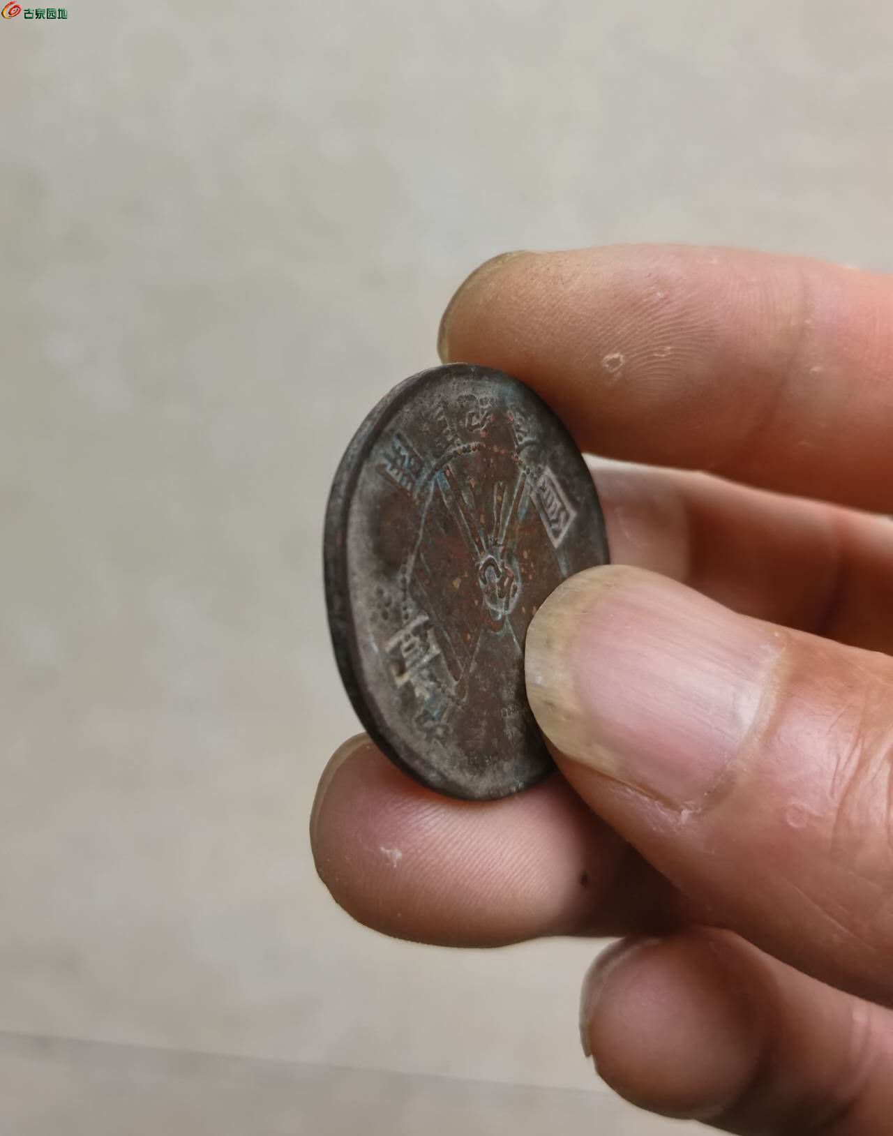 50440.jpg