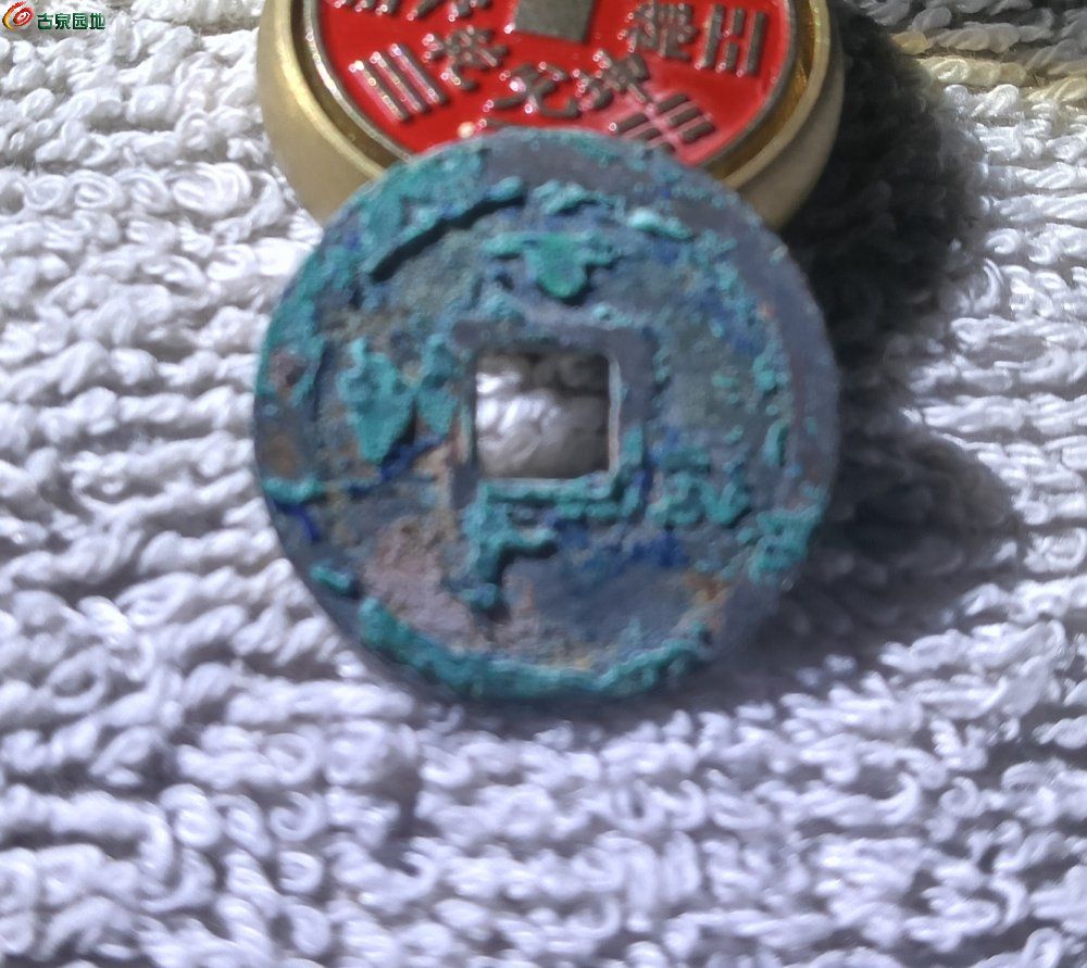IMG_20260520_211138.jpg