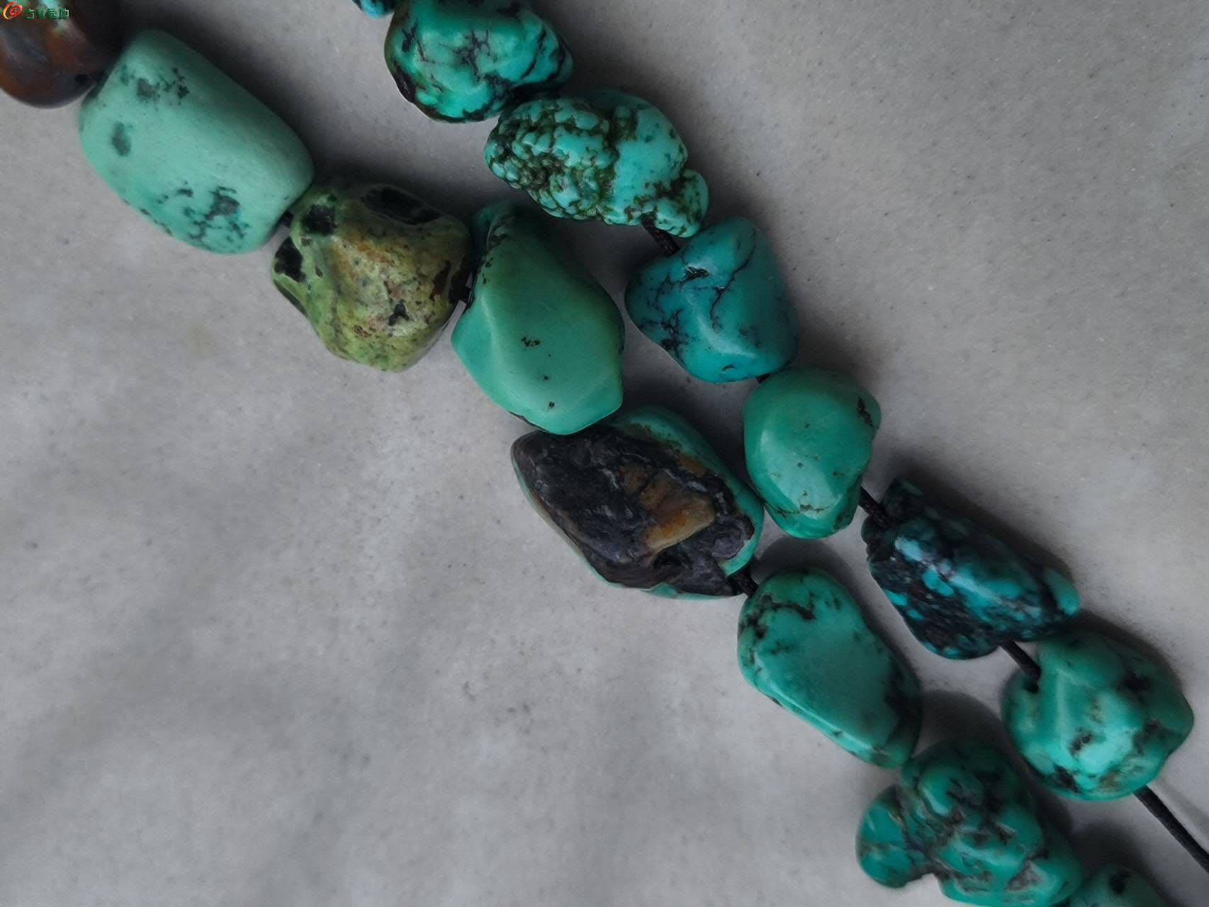 31535.jpg