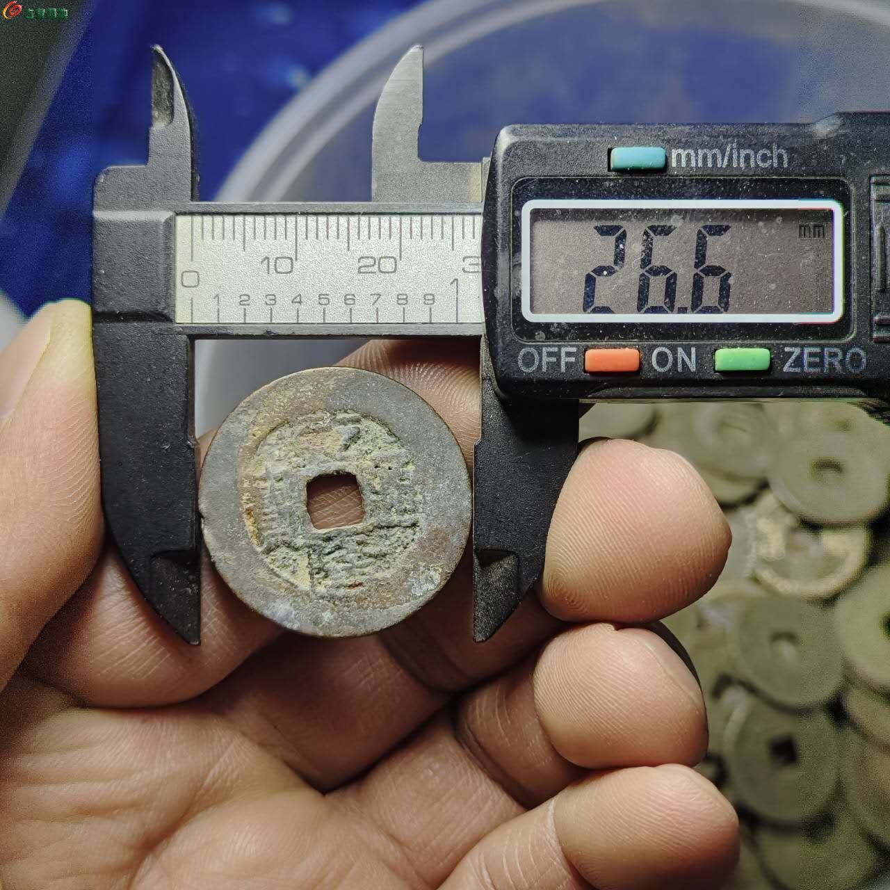 64653.jpg