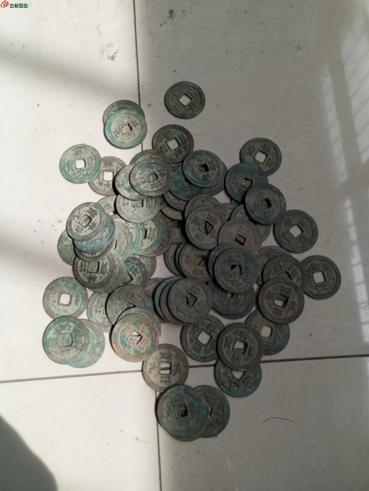 74359.jpg