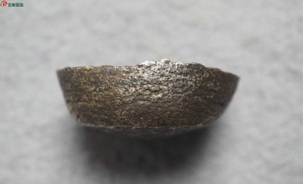 1004179954785e.jpg