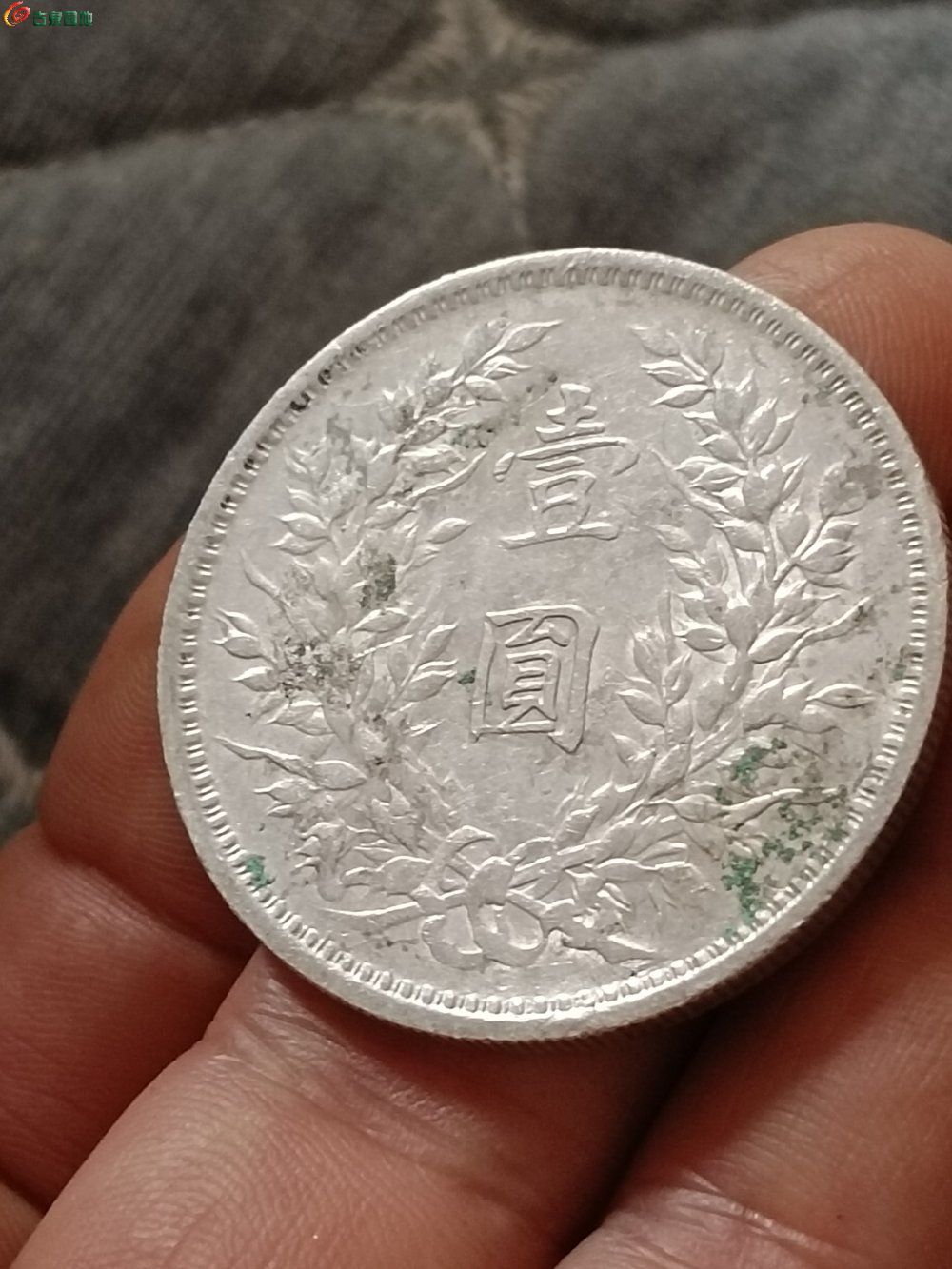 79924.jpg
