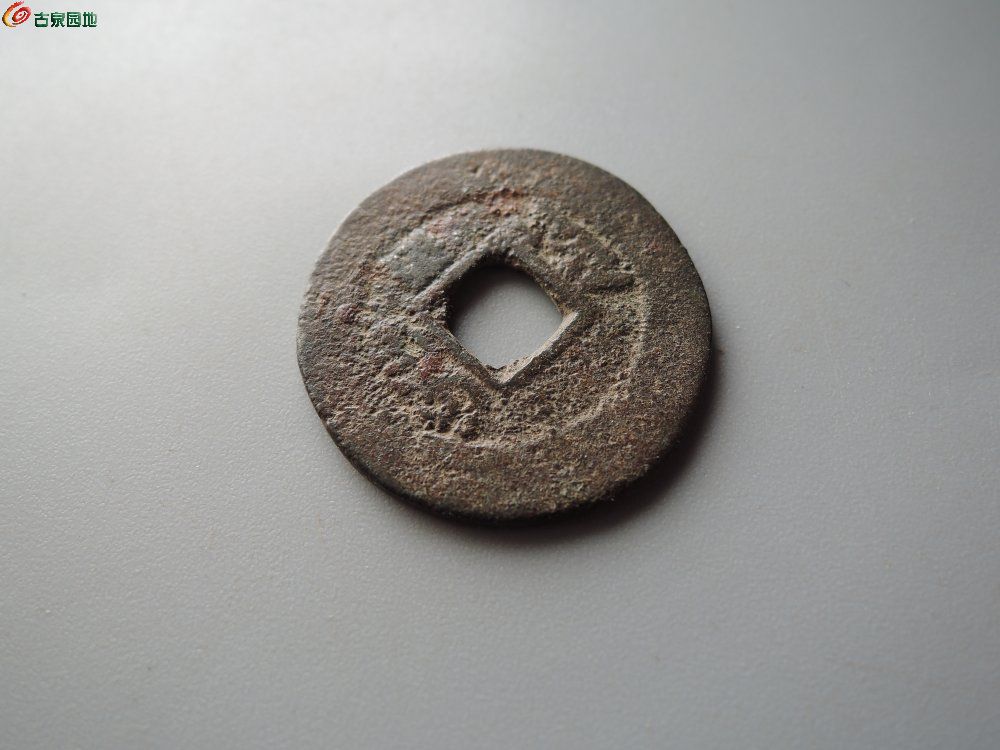 DSCN8529.JPG
