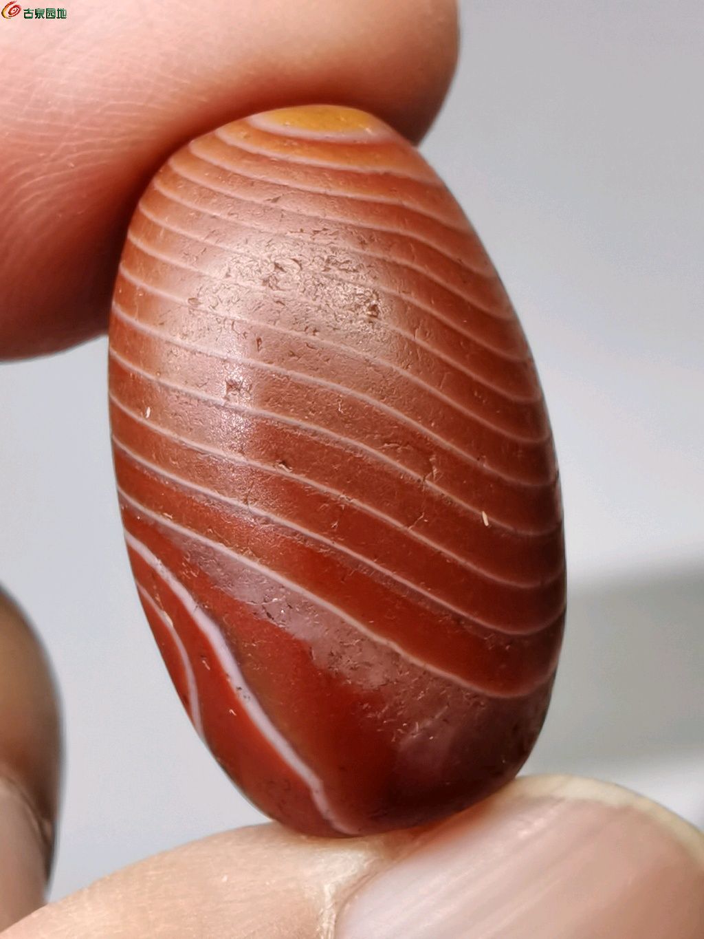1776414862477.xfile.jpg