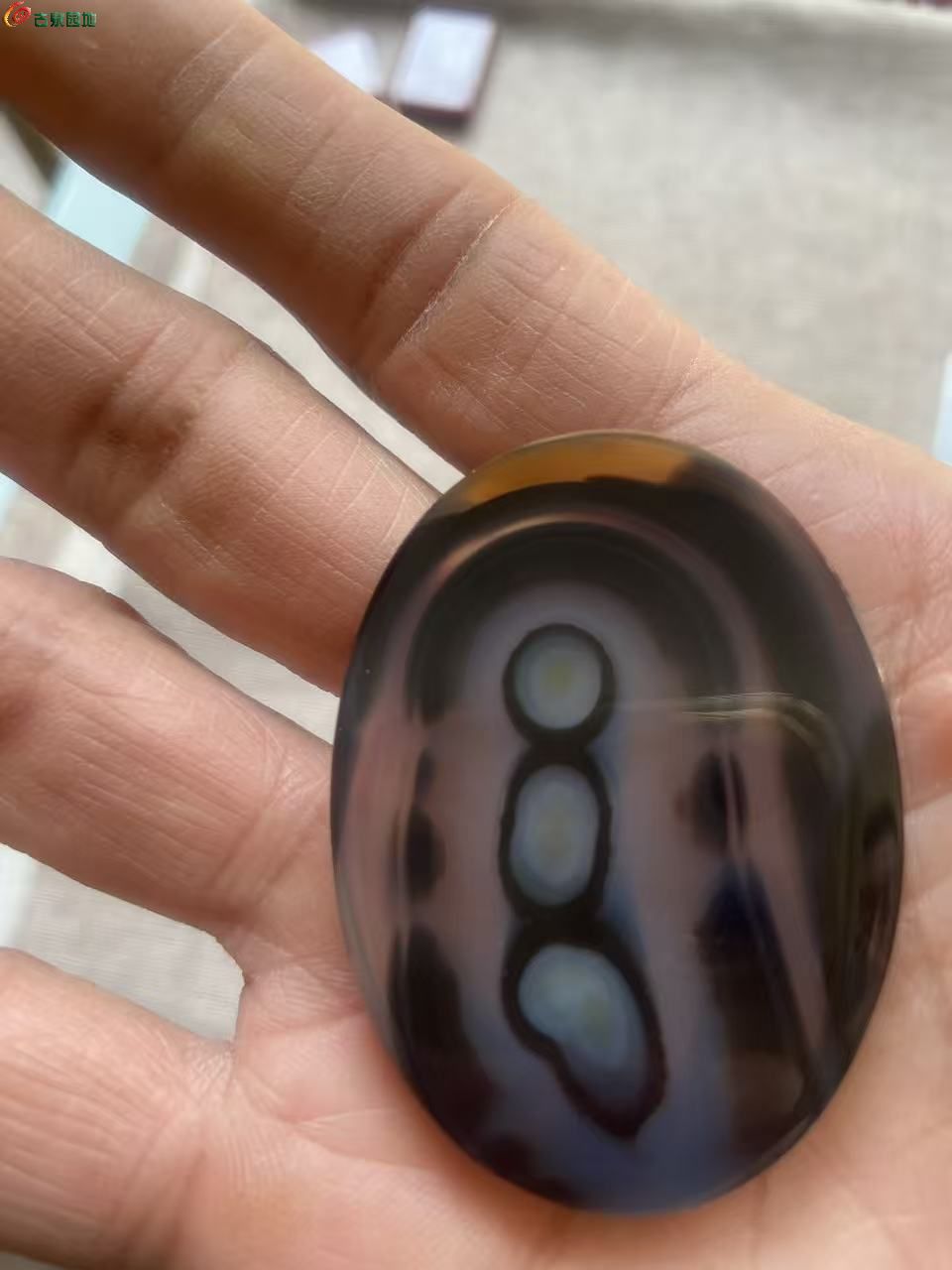 微信图片_20260501105154_1945_3.jpg