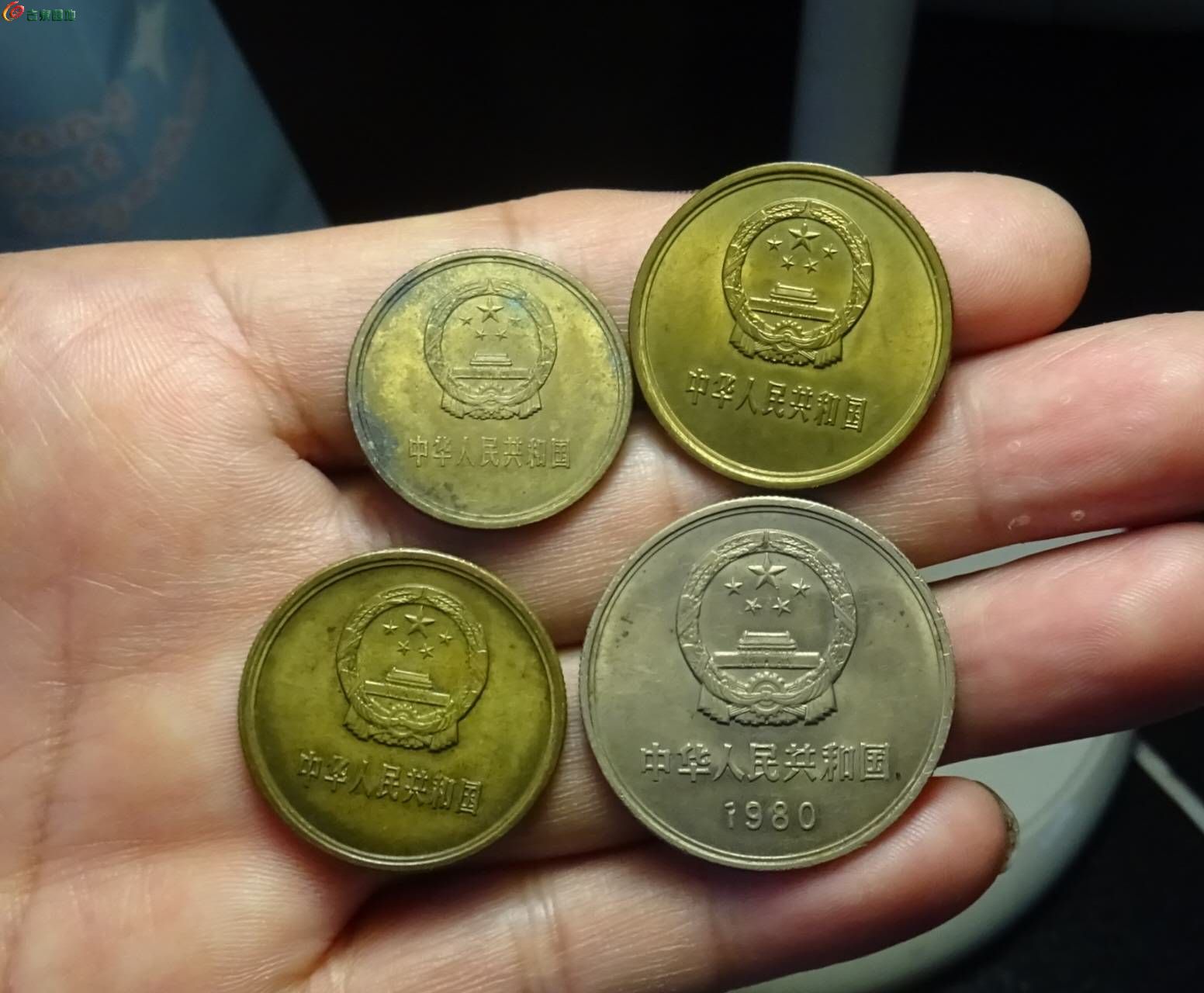 66964.jpg