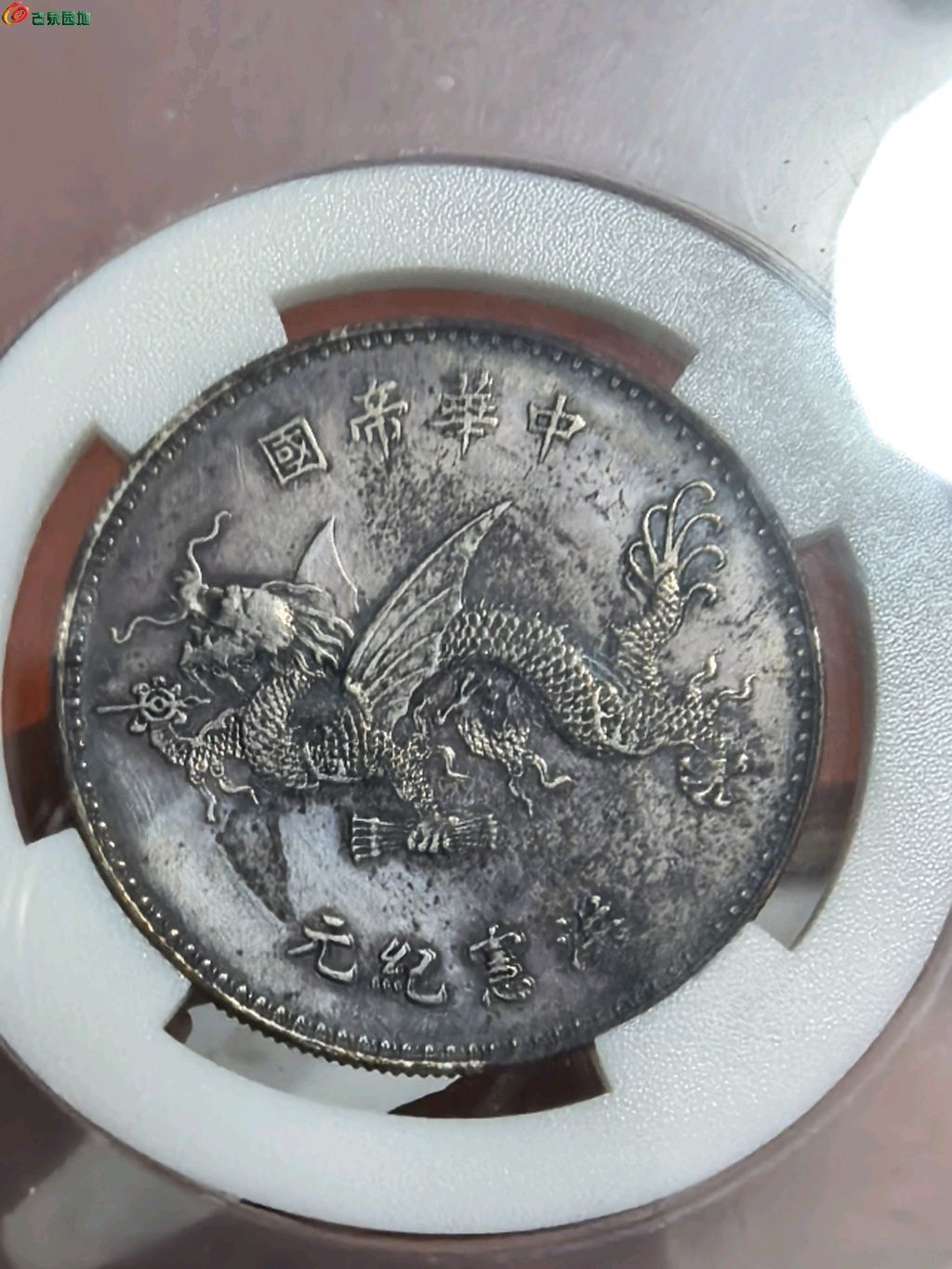 18499.jpg