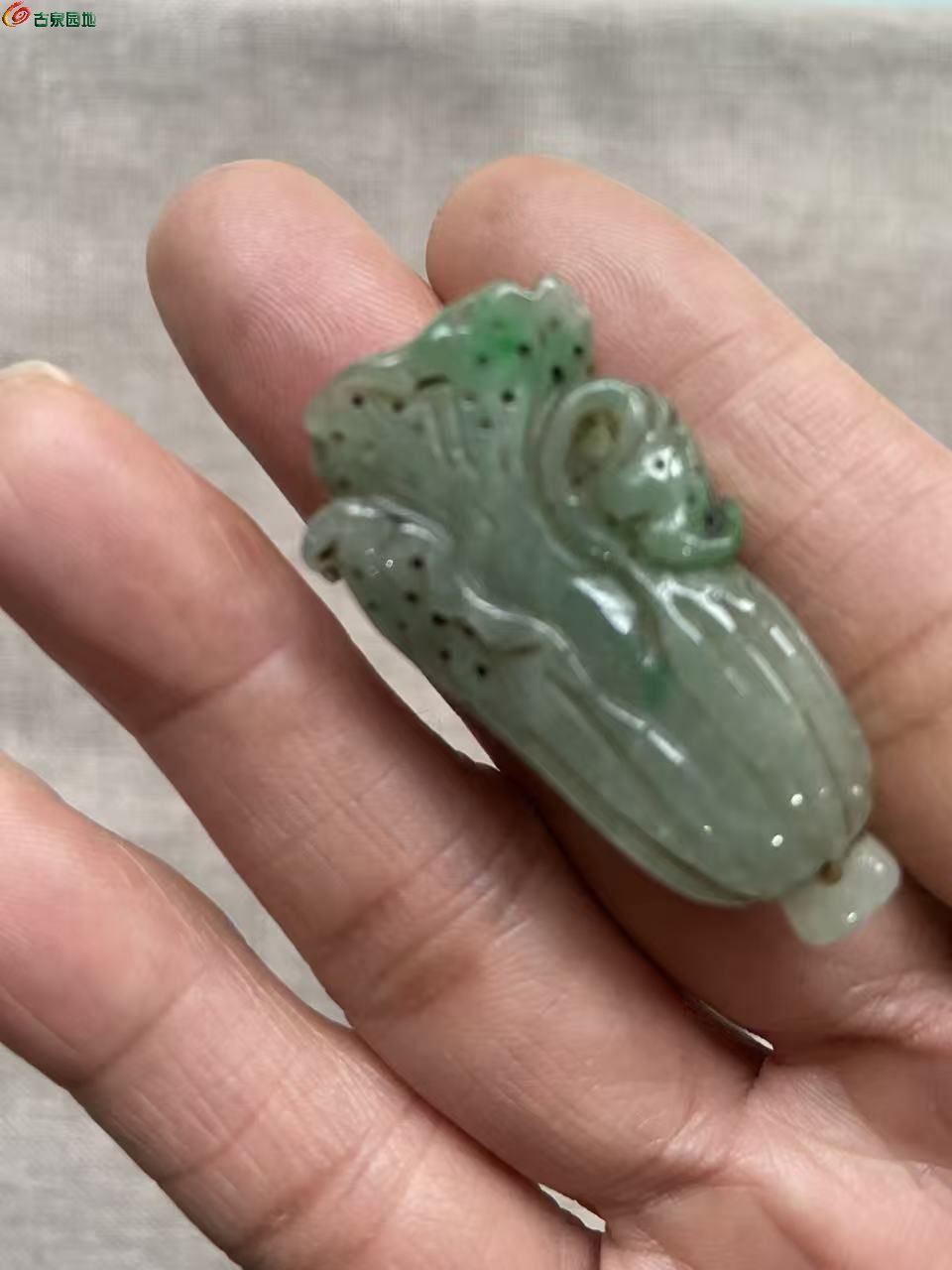 微信图片_20260506180609_2373_3.jpg