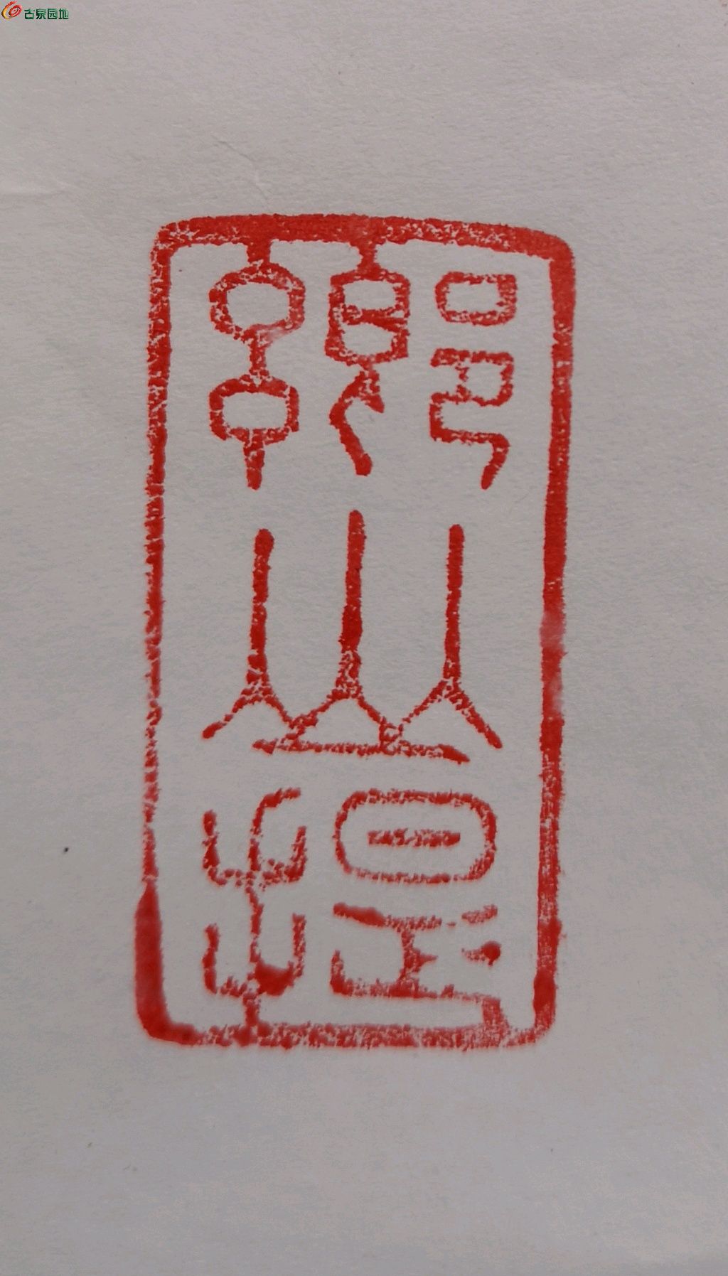 1778242868810.xfile.jpg