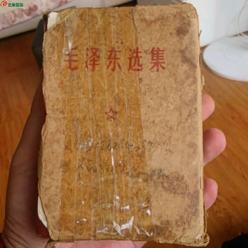 1778945018847.xfile.jpg