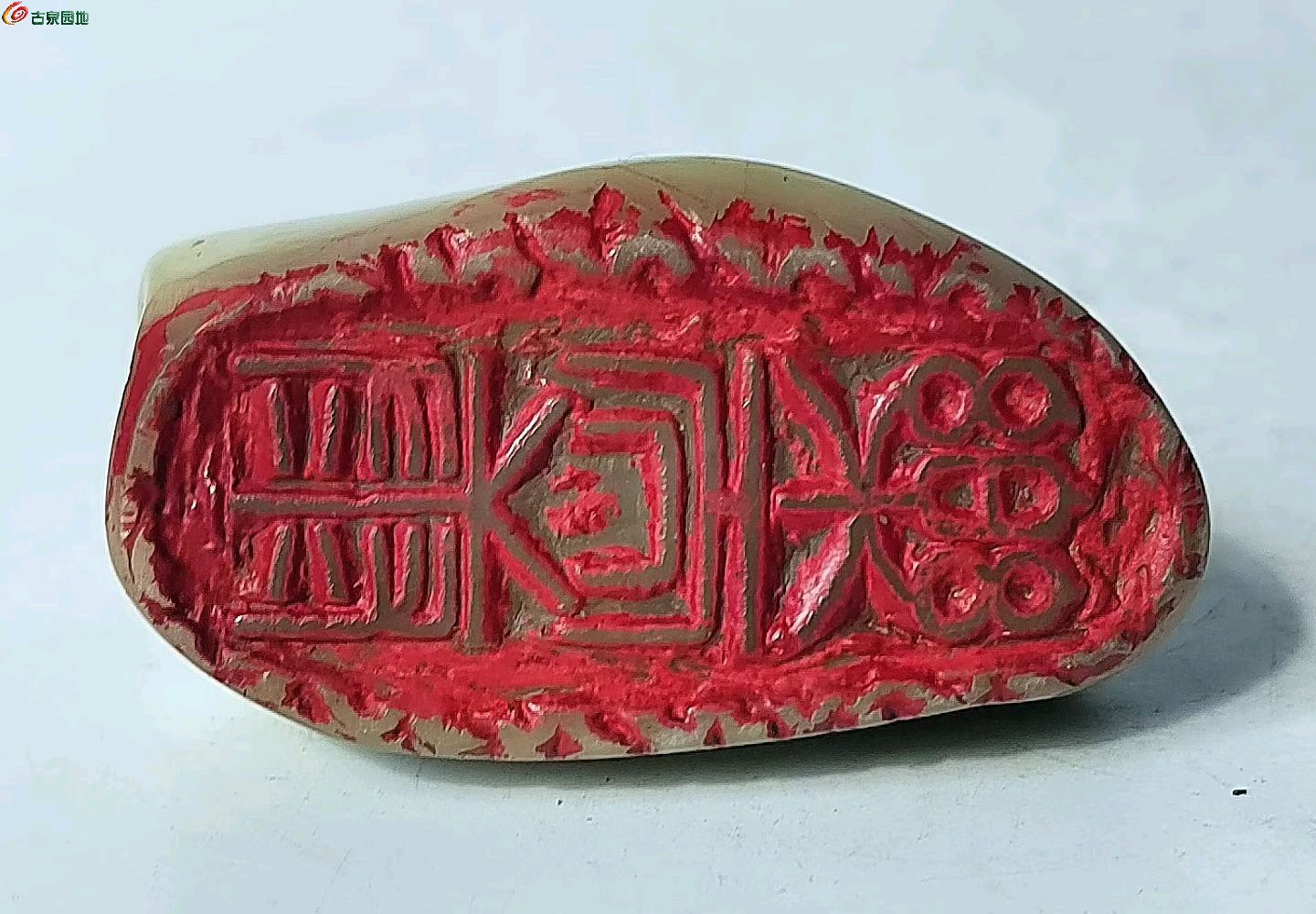 1779543179600.xfile.jpg
