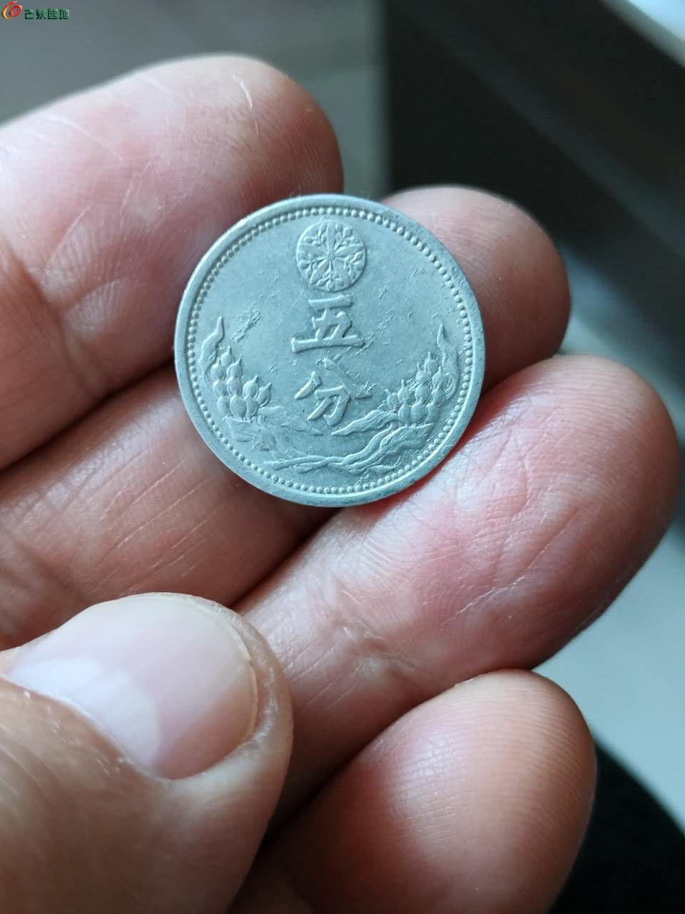 24836.jpg