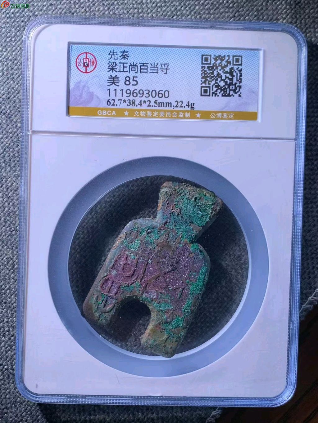 1775740176483.xfile.jpg
