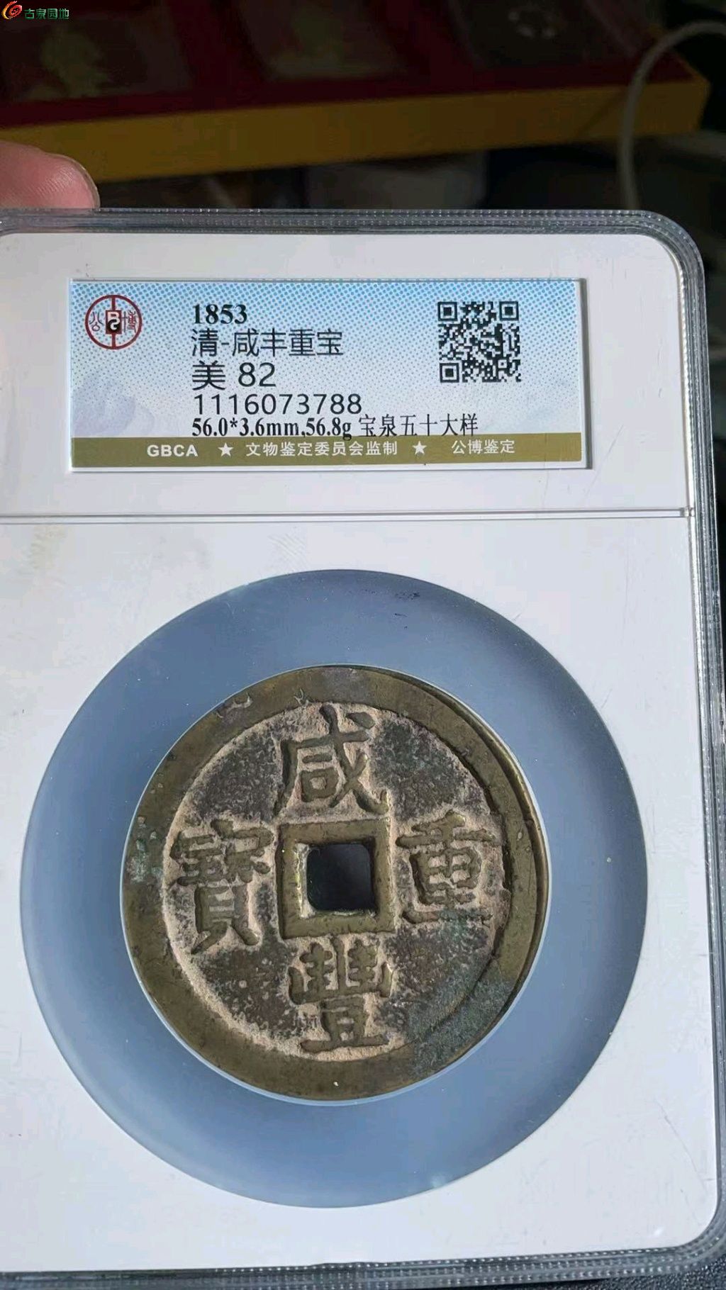 1776050299692.xfile.jpg