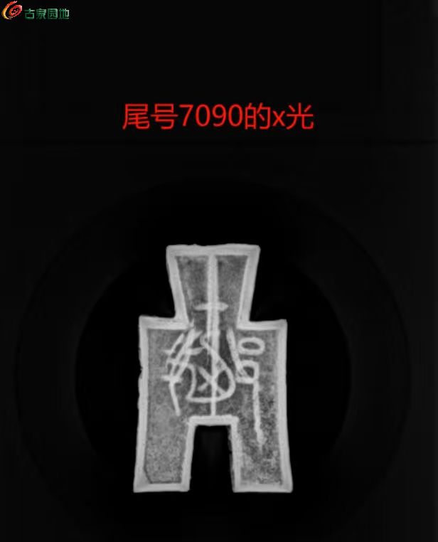 1776231175950.xfile.jpg