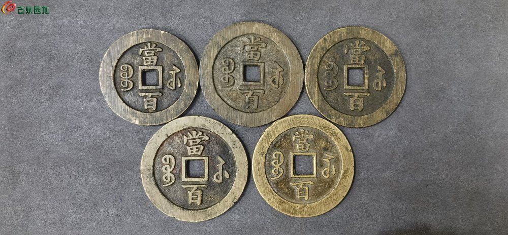 五版式背2.jpg