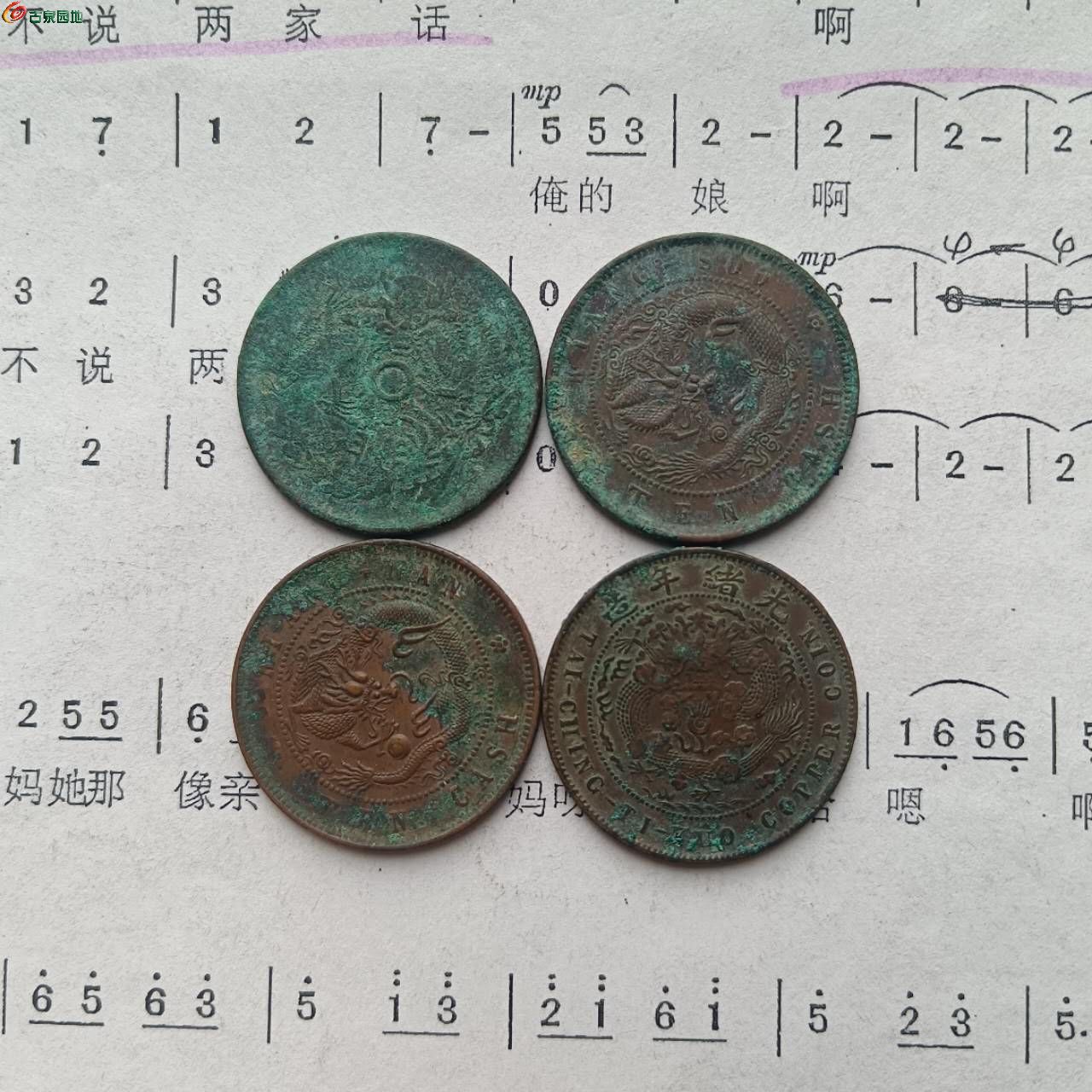 31911.jpg