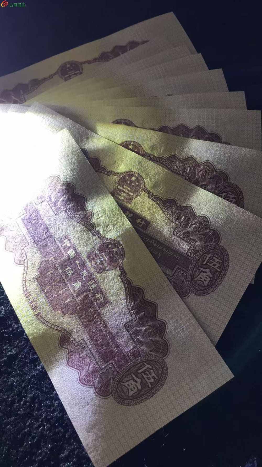 59523.jpg