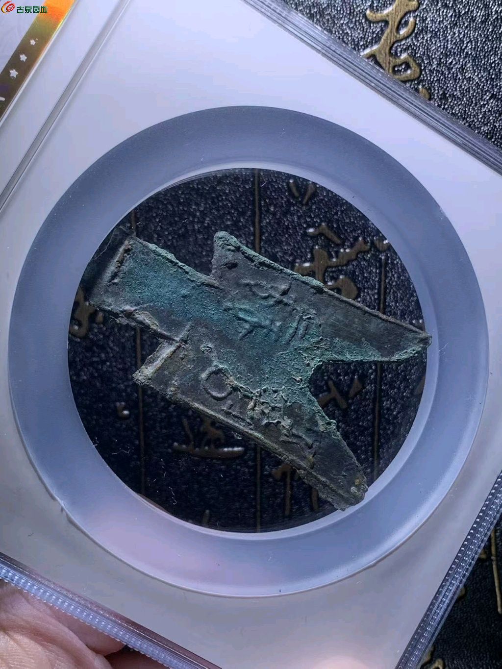1776512330070.xfile.jpg