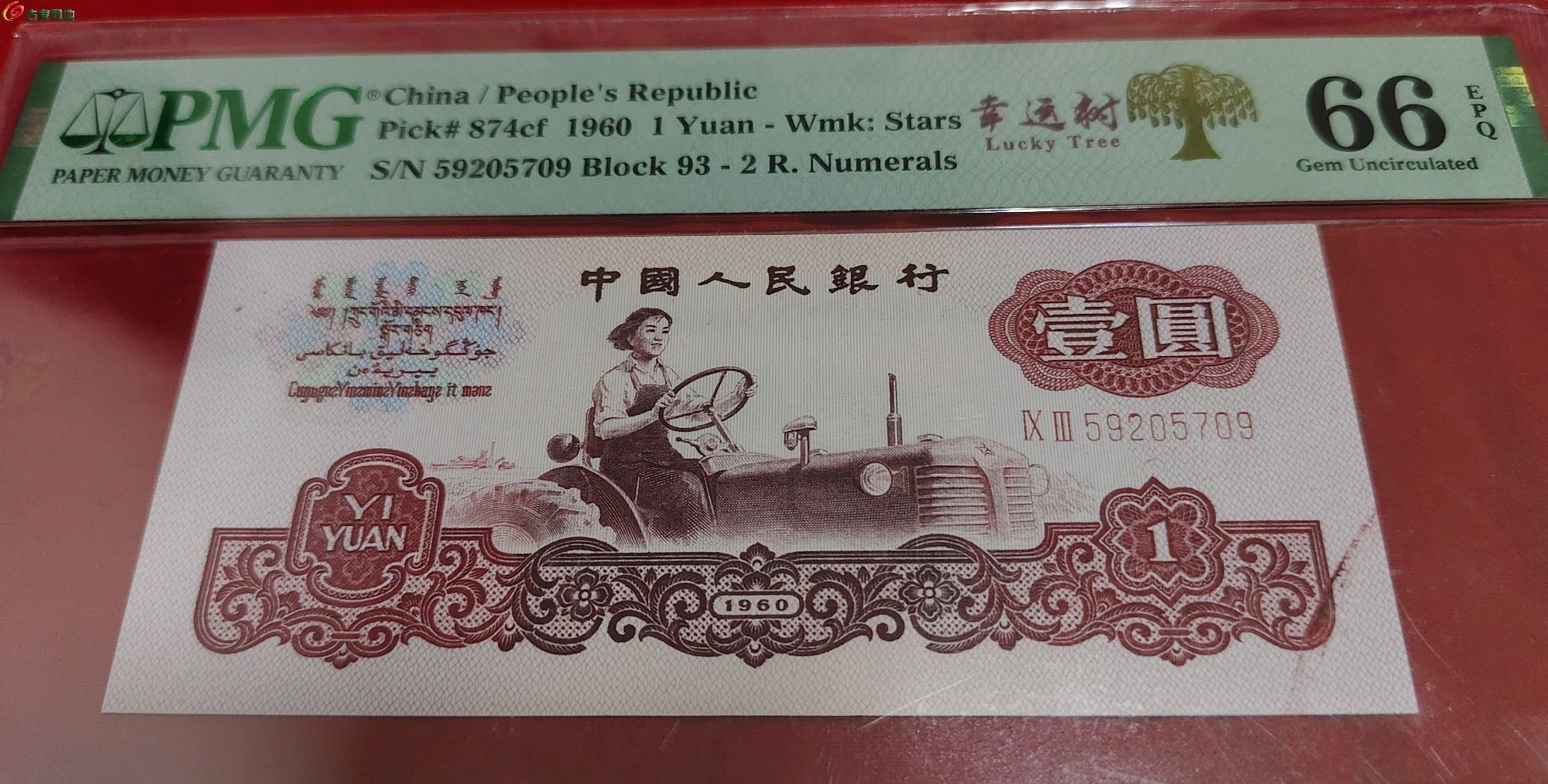 1776608019314.xfile.jpg