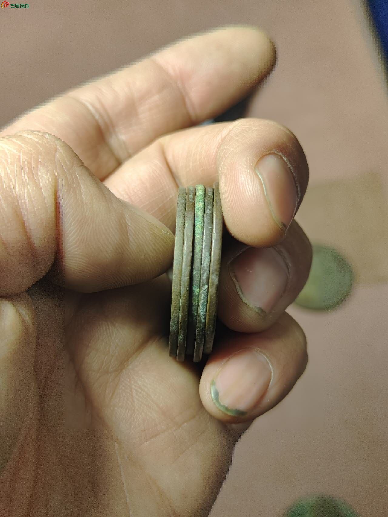 94584.jpg