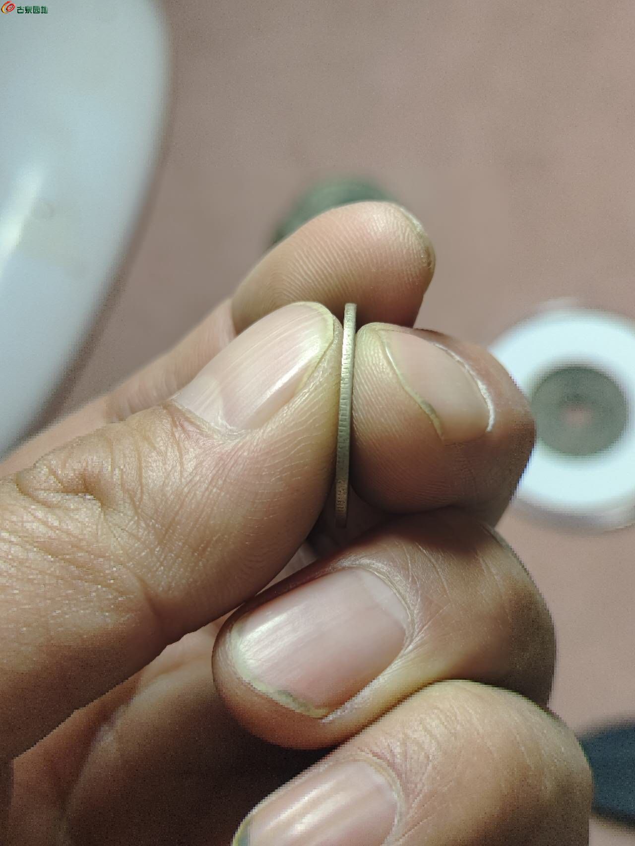 32250.jpg
