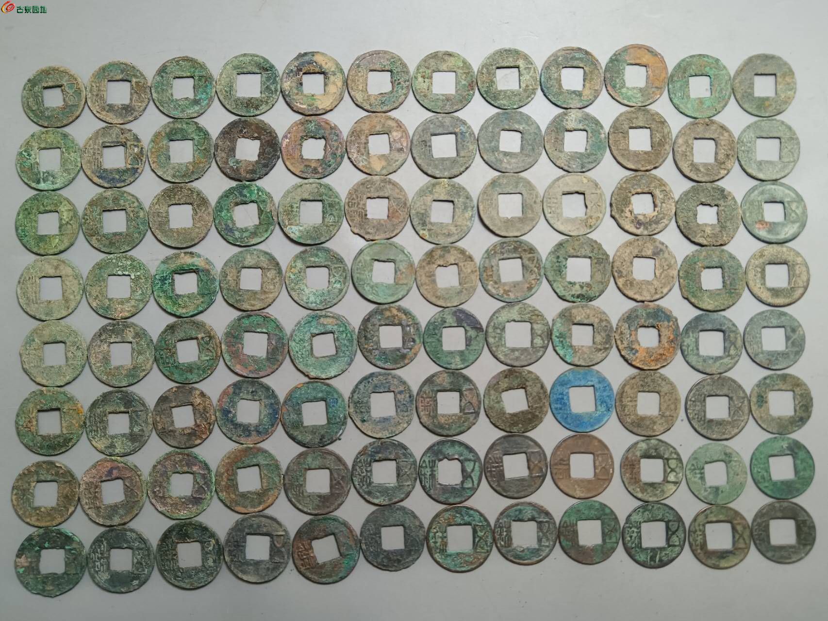 16464.jpg