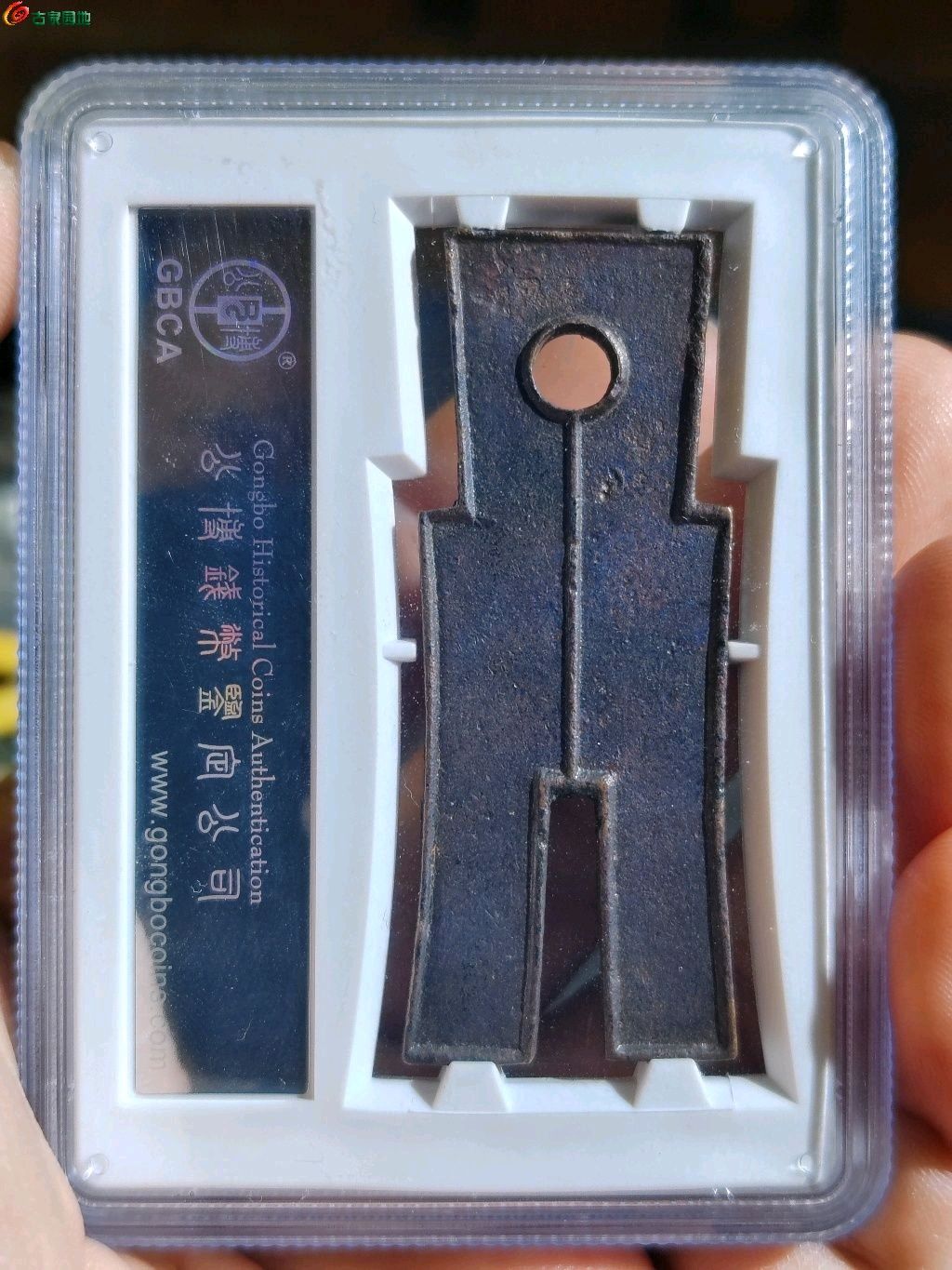 1777122055625.xfile.jpg