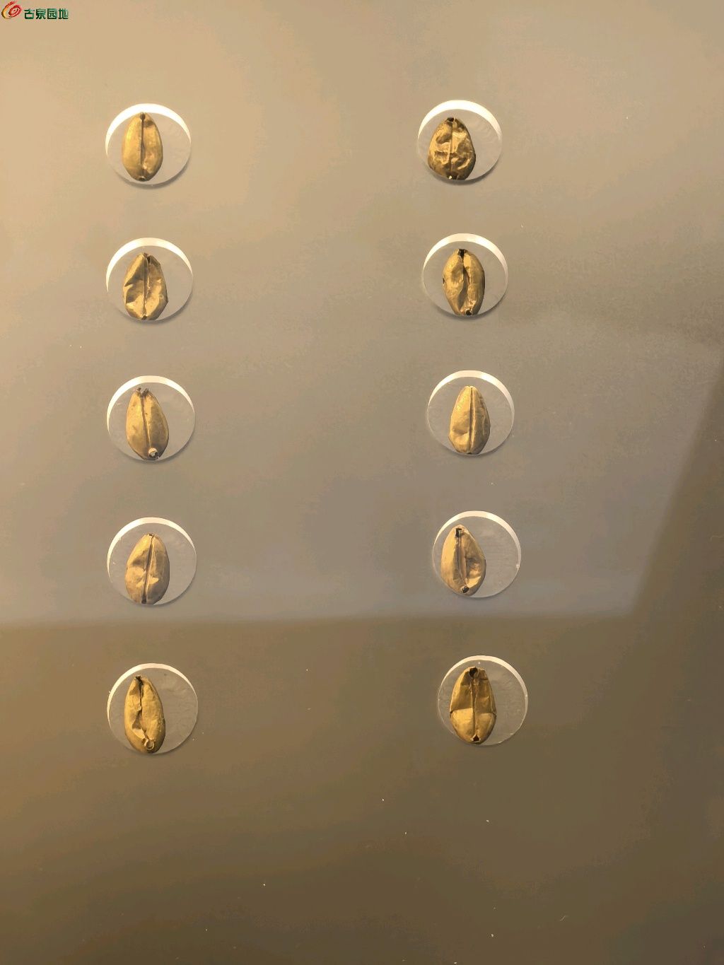 1777594125867.xfile.jpg