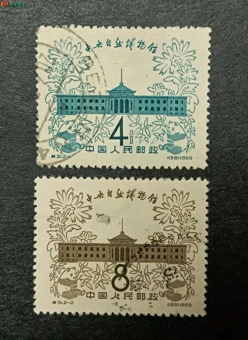 1777643441263.xfile.jpg