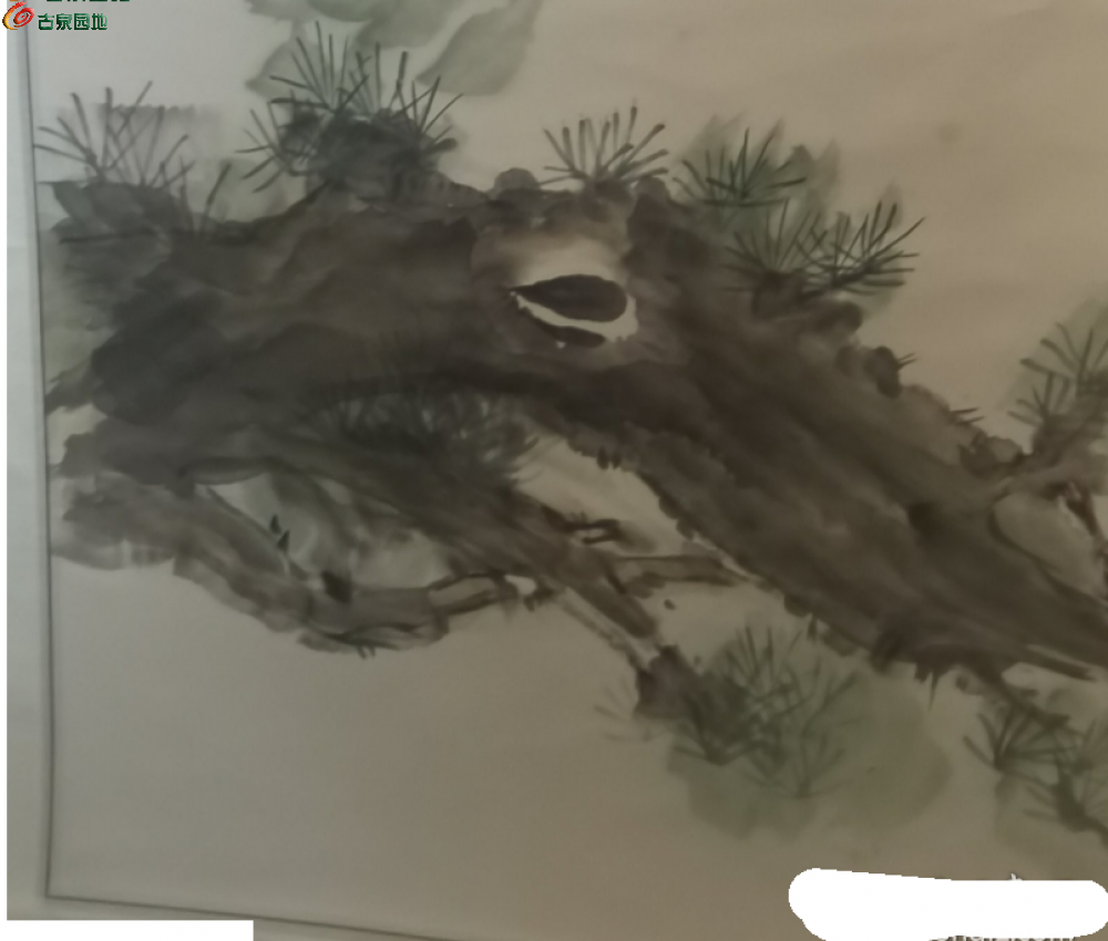 2345截图20260503160050.png