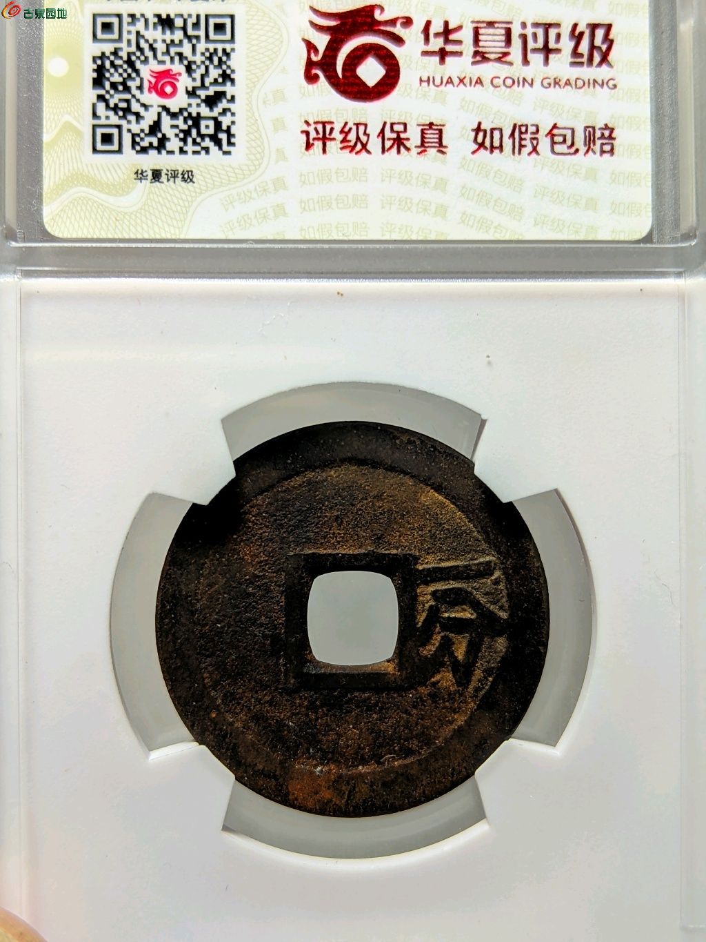 1777896707763.xfile.jpg