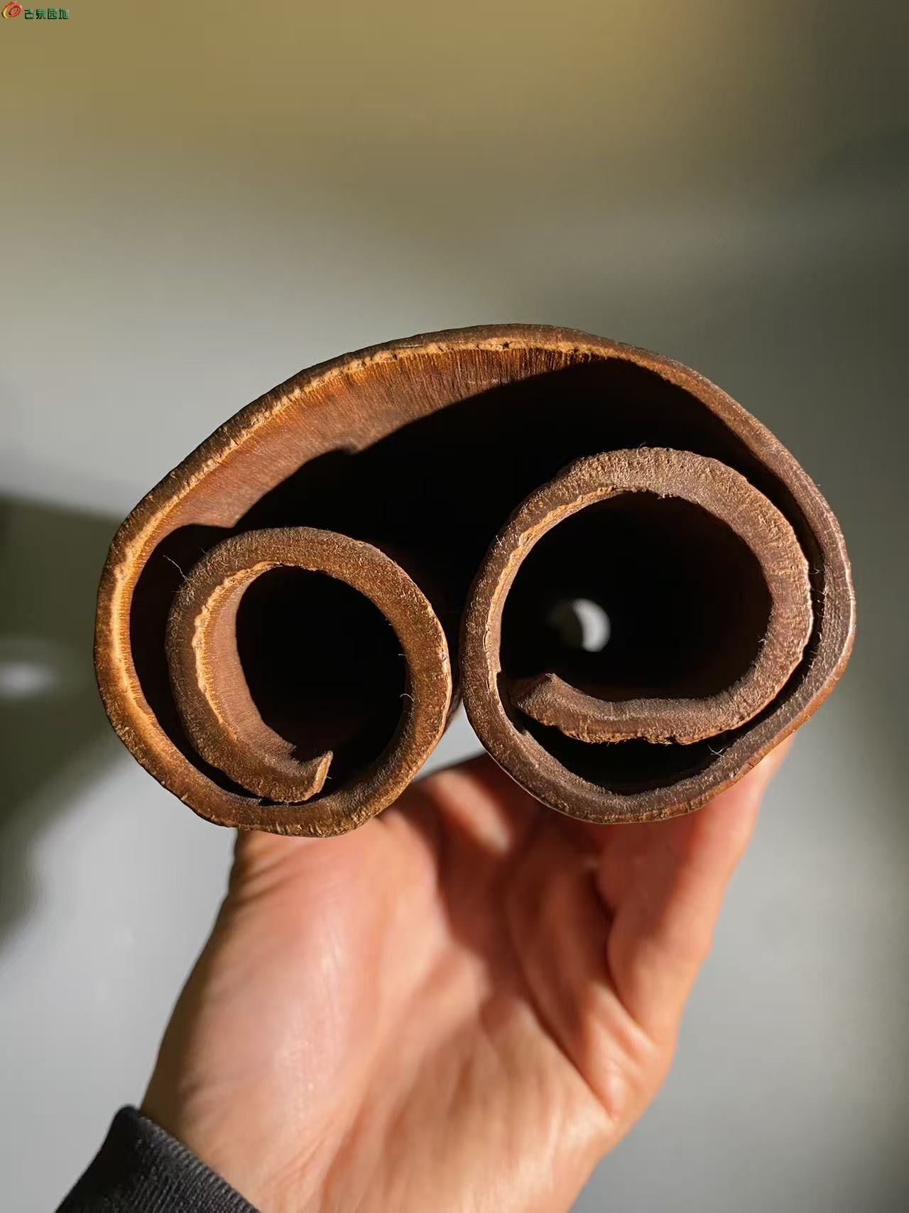 精品典藏大型老桂皮雕刻罗汉图臂搁镇纸摆件9.jpg