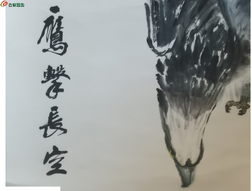 2345截图20260503160044.png